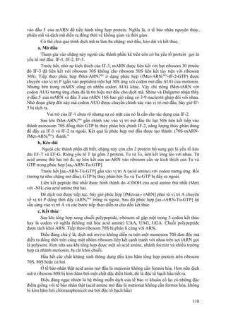 vào đầu 5'
của mARN để tiến hành tổng hợp protein. Nghĩa là, ở tế bào nhân nguyên thủy,
phiên mã và dịch mã diễn ra đồng thời về không gian và thời gian.
Có thể chia quá trình dịch mã ra làm ba chặng: mở đầu, kéo dài và kết thúc.
a, Mở đầu
Tham gia vào chặng này ngoài các thành phần kể trên còn có ba yếu tố protein gọi là
yếu tố mở đầu: IF-1, IF-2, IF-3.
Trước hết, nhờ sự kích thích của IF-3, mARN được liên kết với hạt ribosom 30 (trước
đó IF-3 đã liên kết với ribosom 30S không cho ribosom 50S liên kết tùy tiện với ribosom
30S). Tiếp theo phức hợp fMet-ARNf
Met
ở dạng phức hợp (fMet-ARNf
Met
-IF-2-GTP) được
chuyển vào vị trí P (gắn vào peptidin) trên hạt 30S ứng với codon mở đầu AUG của metionin.
Nhưng bên trong mARN cũng có nhiều codon AUG khác. Vậy chỉ riêng fMet-tARN với
codon AUG tương ứng chưa đủ là tín hiệu mở đầu cho dịch mã. Shine và Dalgarno nhận thấy
ở đầu 5/
của mARN và đầu 3/
của rARN 16S bao giờ cũng có 3-9 nucleotit ghép đôi với nhau.
Nhờ đoạn ghép đôi này mà codon AUG được chuyển chính xác vào vị trí mở đầu, bây giờ IF-
3 bị tách ra.
Vai trò của IF-1 chưa rõ nhưng sự có mặt của nó là cần cho tác dụng của IF-2.
Sau khi fMet-ARNf
Met
gắn chính xác vào vị trí mở đầu thì hạt 50S liên kết tiếp vào
thành monosom 70S đồng thời GTP bị thủy phân bởi chính IF-2, năng lượng thủy phân dùng
để đẩy cả IF-1 và IF-2 ra ngoài. Kết quả là phức hợp mở đầu được tạo thành: (70S-mARN-
fMet-ARNf
Met
). thành."
b, Kéo dài
Ngoài các thành phần đã biết, chặng này còn cần 2 protein bổ sung gọi là yếu tố kéo
dài EF-T và EF-G. Riêng yếu tố T lại gồm 2 protein, Tu và Ts, liên kết lỏng lẻo với nhau. Từ
acid amine thứ hai trở đi, sự liên kết của aa-ARN vào ribosom cần sự kích thích của Tu và
GTP trong phức hợp [aan-ARN-Tu-GTP].
Trước hết [aa2-ARN-Tu-GTP] gắn vào vị trí A (acid amine) với codon tương ứng. Rồi
(tương tự như chặng mở đầu), GTP bị thủy phân bởi Tu và Tu-GTP bị đẩy ra ngoài.
Liên kết peptide thứ nhất được hình thành do -COOH của acid amine thứ nhất (Met)
với -NH2 của acid amine thứ hai.
Để dịch mã được tiếp tục, bây giờ phức hợp [fMet-aa2- tARN] phải từ vị trí A chuyển
về vị trí P đồng thời đẩy tARNf
Met
trống ra ngoài. Sau đó phức hợp [aa3-tARN-Tu-GTP] lại
sẵn sàng vào vị trí A và các bước tiếp theo diễn ra cho đến kết thúc.
c, Kết thúc
Sau khi tổng hợp xong chuỗi polypeptide, ribosom sẽ gặp một trong 3 codon kết thúc
hay là codon vô nghĩa (không mã hóa acid amine) UAA, UAG, UGA. Chuỗi polypeptide
được tách khỏi ARN. Tiếp theo ribosom 70S bị phân li cùng với ARNt.
Điều đáng chú ý là, dịch mã invivo không diễn ra trên một monosom 70S đơn độc mà
diễn ra đồng thời trên cùng một nhóm ribosom liên kết cạnh tranh với nhau trên sợi tARN gọi
là polysom. Hơn nữa sau khi tổng hợp được một số acid amine, nhánh focmin và nhiều trường
hợp cả nhánh metionin, bị cắt khỏi chuỗi.
Hầu hết các chất kháng sinh thông dụng đều kìm hãm tổng hợp protein trên ribosom
70S, 80S hoặc cả hai.
Ở tế bào nhân thật acid amin mở đầu là metionin không cần formin hóa. Hơn nữa dịch
mã ở ribosom 80S bị kìm hãm bởi một chất độc điển hình, đó là độc tố bạch hầu tiết ra.
Điều đáng ngạc nhiên là hệ thống miễn dịch của tế bào vi khuẩn cổ lại có những đặc
điểm giống với tế bào nhân thật (acid amine mở đầu là metionin không cần formin hóa, không
bị kìm hãm bởi chloramphenicol mà bởi độc tố bạch hầu)
118
 