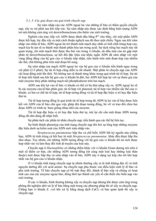 5.1..5. Các giai đoạn của quá trình chuyển nạp
Sự xâm nhập của các ADN ngoại lai vào những tế bào có thẩm quyền chuyển
nạp, xẩy ra vài phút sau khi tiếp xúc. Sự xâm nhập này được xác định bằng hiện tượng ADN
trở nên không cảm ứng với deoxiribonucleasa cho thêm vào môi trường.
Nghiên cứu trực tiếp với ADN được đánh dấu bằng P32
cho thấy, chỉ một phần ADN
được kết hợp, lúc đầu xẩy ra một cách thuận nghịch sau đó theo một chiều. Ngay sau khi xâm
nhập vào nhân tế bào, ADN ngoại lai trở thành một mạch duy nhất có tính chất trùng hợp cao,
mạch kia bị tan rã ra thành một thành phần hòa tan trong acid. Sự tách riêng hai mạch này rất
quan trọng, chỉ một mạch thôi được thu hút vào trong vi khuẩn, do đầu mút của nó gặp một
phân tử deoxiribonucleasa, sự kết đôi đặc hiệu của khúc ngắn ADN đã xâm nhập với một
vùng đồng đẳng của hệ gen của vi khuẩn tiếp nhận, tiến hành trên một đoạn kép của nhiễm
sắc thể, chứ không phải trên một đoạn bổ sung.
Sự xâm nhập của mạch ADN ngoại lai vào hệ gen của vi khuẩn tiến hành ngay trong
vài phút (2-5 phút). Sự tái tổ hợp cũng diễn ra rất nhanh. Một phân tử chuyển nạp của ADN
chỉ hoạt động một lần thôi. Nó không tan rã thành từng khúc trong quá trình tái tổ hợp. Sự tái
tổ hợp tiến hành sau khi hệ gen của vi khuẩn bị đứt, hai ADN kết hợp lại với sự tham gia của
một enzyme thủy phân những mạch nối photphodieste trên hai mạch.
ADN sau khi lọt vào tế bào vi khuẩn có thể có ba khả năng xẩy ra: ADN ngoại lai sẽ
bị các enzyme của tế bào phân giải; tái tổ hợp với plasmid; tái tổ hợp vào nhiễm sắc thể của vi
khuẩn. có hai cơ chế tái tổ hợp, tái tổ hợp tương đồng và tái tổ hợp đặc hiệu vị trí hay đặc hiệu
thứ tư.
Tái tổ hợp tương đồng là quá trình tái tổ hợp trong đó ADN lạ lọt vào tế bào được liên
kết với ADN của tế bào chủ qua việc ghép đôi đoạn tương đồng, bẻ vỡ và trao đổi chéo hai
đoạn ADN có trình tự base giống nhau nhờ các enzyme.
Tái tổ hợp đặc hiệu vị trí hay đặc hiệu thứ tự, trái lại chỉ cần một đoạn ADN tương
đồng rất nhỏ dùng để nhận biết.
Sự phân tách các phần tử nhân chuyển nạp, tiến hành qua các thế hệ liên tục.
Sự hình thành phenotyp của tính trạng chuyển nạp đòi hỏi sự tổng hợp những enzyme
đặc hiệu dưới sự kiểm soát của ADN mới xâm nhập vào.
Streptococcus pneumoniae hấp thu và chế biến ADN bất kỳ nguồn nào chẳng
hạn, ADN từ tinh trùng cá hồi hay từ một Streptococcus pneumoniae khác đều được hấp thu
như nhau. Tuy nhiên, chỉ những ADN tương đồng với hệ gen của vi khuẩn thì nó mới được
hợp nhất vào và làm thay đổi tính di truyền của loài này.
Chuyển nạp ở Haemophilus có những điểm khác với vi khuẩn Gram dương nói trên ở
một số điểm cơ bản, chỉ những ADN tương đồng (từ cùng một loài hay những loài thân
thuộc) mới được hấp thụ và xâm nhập vào tế bào, ADN này ở dạng sợi kép cho tới khi hợp
nhất vào hệ gen của vi khuẩn nhận.
Ơ vi khuẩn tính trạng chuyển nạp tự nhiên thường xẩy ra là tính kháng độc tố và tính
nguyên dưỡng đối với acid amine. Sự chuyển nạp phụ thuộc vào điều kiện sinh lý tế bào và
pha sinh trưởng. Tế bào chuyển nạp có bề mặt thay đổi, thành tế bào xốp và chúng có hoạt
tính cao của các enzyme ngoại bào, đồng thời tạo thành các yếu tố cần thiết cho biến nạp vào
môi trường.
Ơ các vi khuẩn, bình thường không xẩy ra chuyển nạp nhưng khi được cảm ứng trong
phòng thí nghiệm nhờ xử lý tế bào bằng một trong các phương pháp thì sẽ xẩy ra chuyển nạp.
Chẳng hạn vi khuẩn E. coli khi xử lý bằng dung dịch CaCl2 và bảo quản lạnh thì xẩy ra
chuyển nạp.
124
 