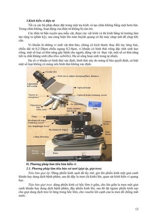 3.Kính hiển vi điện tử
Tất cả các bộ phận được đặt trong một trụ kính và tạo chân không bằng một bơm hút.
Trong chân không, hoạt động của điện tử không bị cản trở.
Các điện tử bắn xuyên qua mẫu vật, được các vật kính và thị kính bằng từ trường làm
tản rộng ra (phân kỳ), sau cùng hiện lên màn huỳnh quang có bộ máy chụp ảnh để chụp khi
cần.
Vi khuẩn là những vi sinh vật đơn bào, chúng có kích thước thay đổi tùy từng loài,
chiều dài từ 0,2-20µm chiều ngang 0,2-8µm, vi khuẩn có hình thái riêng đặc tính sinh học
riêng, một số loại có khả năng gây bệnh cho người, động vật và thực vật, một số có khả năng
tiết ra chất kháng sinh (Bacillus subtillis). Đa số sống hoại sinh trong tự nhiên.
Đa số vi khuẩn có hình thái xác định, hình thái này do màng tế bào quyết định, cá biệt
một số loại không có màng nên hình thái không xác định.
II. Phương pháp làm tiêu bản hiển vi
2.1. Phương pháp làm tiêu bản soi tươi (giọt ép, giọt treo)
Tiêu bản giọt ép: Dùng phiến kính sạch đã tẩy mỡ, giỏ lên phiến kính một giọt canh
khuẩn hay dung dịch bệnh phẩm, sau đó đậy la men (lá kính) lên, quan sát kính hiển vi quang
học.
Tiêu bản giọt treo: dùng phiến kính có hốc lõm ở giữa, cho lên giữa la men một giọt
canh khuẩn hay dung dịch bệnh phẩm, đậy phiến kính lên, sau đó lật ngược phiến kính sao
cho giọt dung dịch treo lơ lửng trong hốc lõm, cho vaselin lên cạnh của la men để chống mất
nước.
12
 