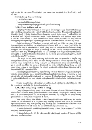 nhất nguyên liệu của phage. Người ta thấy rằng phage cũng như tất cả virus là một vật ký sinh
nội bào.
Như vậy tải nạp đóng vai trò trong:
- Lan truyền độc tính
- Lan truyền kháng nguyên thân
- Nâng cao khả năng tổng hợp các chất, yếu tố sinh trưởng.
5.2.1.2. Phage ôn hòa-sự sinh tan
Một phage ''ôn hòa'' không có đủ hoạt lực để làm dung giải ngay tất cả vi khuẩn được
trộn với những mảnh phage này. Một số vi khuẩn sống sót, dưới tác động của những phage ôn
hòa và trở thành vi khuẩn sinh tan. Nhóm phage này gồm có những phage P1 và P2 nhiễm vào
vi khuẩn E. coli, Shigella dysenteriae, phage P22 của Salmonella typhi murium, phage λ của
E. coli K12. Như thế một vi khuẩn sinh tan có và truyền cho thế hệ của nó khả năng sinh sản
những phage nhưng không có hiện tượng gây nhiễm. Một vi khuẩn sinh tan chứa một phage.
Quá trình sinh tan - Tiền phage: trong quá trình sinh tan, ADN của phage hoặc một
đoạn sao lại của nó tái tổ hợp vào một vùng đặc hiệu trên NST của vi khuẩn. Sau khi hấp thụ
trên vi khuẩn, đáng lẽ nó tự sao lại và nhanh chóng phân tán trong vi khuẩn để đi theo chu kỳ
dung giải, thì ở đây hệ gen của phage lại tái tổ hợp vào NST của vật chủ hoặc thâm nhập vào
và tồn tại ở dưới dạng tiền phage vài phút sau khi xâm nhập. Tiền phage (tiền thực khuẩn thể)
không phải là một thực khuẩn thể hoàn chỉnh mà chỉ là một genotype của phage trong thành
phần liên tục của NST vi khuẩn.
Tiền phage sao lại (nhân đôi) cùng một lúc với NST của vi khuẩn và truyền sang
những tế bào con trong nhiều thế hệ liên tiếp. Những vi khuẩn đã tiếp thu đặc tính dung túng
một tiền phage trong NST của chúng và duy trì khả năng sản sinh phage cho các thế hệ sau
gọi là sự sinh tan. Phần lớn những vi khuẩn sinh tan có thể nhân lên nhưng không sản sinh
phage tự do và duy trì tính sinh tan. Chỉ có một số sản sinh những phage thành thục và bị
dung giải (102
-106
cho mỗi thế hệ).
Mỗi tiền phage có thể có trong một số trường hợp biến thành một phage sinh dưỡng và
nhân lên trong vi khuẩn, sau đó giải phóng những phage hoàn toàn, nhưng sự cảm ứng tự phát
này rất hiếm mà thường phải có các chất gây cảm ứng để tiền phage thành phage như: việc xử
lý những vi khuẩn sinh tan bằng một tác nhân gây đột biến hóa học hoặc vật lý (tia tử ngoại,
tia X,...).
Sự cảm ứng có thể do một sự tiếp hợp và hình thành một hợp tử giữa tế bào đực Hfr(
λ)+
và những tế bào F-
(λ)-
. Đó là cảm ứng của hợp tử.
5.2.1.3. Hiện tượng tải nạp và nhân tố tải nạp
Trong hiện tượng tải nạp, phage của vi khuẩn đóng vai trò vectơ. Nó chuyển ADN của
nó vào tế bào vi khuẩn. Trong quá trình nhân lên của tế bào vật chủ, phage đã nuốt một mảnh
nhỏ ADN của tế bào vật chủ. Do ảnh hưởng của mảnh nhỏ này trong gen của phage nên hệ
gen vi khuẩn có những biến đổi đặc tính di truyền.
Hiện tượng tải nạp được Zinder và Lederberg phát hiện năm 1952 trong khi nghiên
cứu lai các loài Salmonella. Các tác giả đã dùng một ống thủy tinh hình chữ U, có hai nhánh
ngăn cách với nhau bằng một lọc bằng thủy tinh xốp. Cho vào nhánh thứ nhất canh khuẩn
nước thịt cấy Salmonella (A) nhánh thứ hai canh khuẩn cấy Salmonella (B).
Vi khuẩn Salmonella (A) không bị đột biến mang ký hiệu 2A có genotype T+
(có khả
năng tổng hợp Tryptophan).
Vi khuẩn Salmonella (B) đột biến mang ký hiệu 22A có genotype T-
(không có khả
năng tổng hợp Tryptophan).
129
 