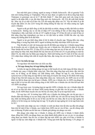 Sau một thời gian ủ chung, người ta mang vi khuẩn Salmonella (B) có genotip T-
cấy
trên môi trường không có Triptophan. Nếu nó mọc được có nghĩa là nó đã tự tổng hợp được
Triptopan và genotype của nó từ T-
đã biến thành T+
. Qua thời gian nuôi cấy trong tủ ấm
người ta đã nhận thấy ở các đĩa hộp lồng nuôi cấy Salmonella (B) 22A đã xuất hiện khuẩn
lạc. Như vậy là có một số tế bào của 22A đã mang đặc điểm của 2A. Vậy thì nhân tố gì đã
truyền đặc điểm 2A cho 22A? trong khi chúng không hề tiếp xúc với nhau (màng lọc ngăn
cách vi khuẩn).
Người ta đã giả thiết rằng có thể do đột biến tự nhiên, nhưng ta thấy đột biến tự nhiên
ở Salmonella thường xẩy ra với tần số thấp (10-9
) mà những tế bào có khả năng tổng hợp
Triptophan ở đây xuất hiện với tần số 10-5
( nghĩa là trong 105
tế bào thì mới có một tế bào có
khả năng tổng hợp triptophan) cao hơn so với đột biến tự nhiên 10.000 lần như vậy hiện
tượng này không phải là do đột biến.
Người ta lại giả thiết rằng nhân tố đó là nhân tố chuyển nạp. Nhưng điều này cũng
không đúng vì trong ống hình chữ U người ta không tìm thấy một đoạn ADN tự do nào.
Vậy thì phải có một vật trung gian nào đó đã thấm qua màng lọc vi khuẩn mang thông
tin di truyền của nòi vi khuẩn này truyền cho nòi vi khuẩn kia. Đó chính là nhân tố tải nạp.
Thực khuẩn thể ôn hòa PTL 22 (hay P22) có khả năng làm tan các tế bào nòi 2A. Sau khi lọt
qua màng lọc thủy tinh, thực khuẩn thể này làm tan các tế bào nòi 2A và giải phóng ra một tác
nhân FA, tác nhân này lại thấm qua màng lọc. Dưới ảnh hưởng của FA một số tế bào của nòi
22A nhận được những tính chất di truyền đặc hiệu, đặc trưng cho nòi mà từ đó FA được tiết
ra.
5.2.2. Các kiểu tải nạp
Tải nạp được tiến hành theo các kiểu sau đây
a, Tải nạp chung hay tải nạp không đặc hiệu
Là kiểu tải nạp do những phage tải nạp có thể truyền đi các tính trạng rất khác nhau từ
vi khuẩn này sang vi khuẩn khác cùng loài. Như khả năng tổng hợp acid amin, đặc tính lên
men, sự di động, sự đề kháng với chất kháng sinh,...Phage tải nạp P22 của Salmonella
typhymurium có khả năng tải nạp bất kỳ tính trạng di truyền nào trong số rất nhiều tính trạng
riêng lẻ hay liên kết mang các chức năng khác nhau của Salmonella, do ADN của nó có thể
đính vào bất kỳ đoạn nào của hệ gen vi khuẩn. ADN của vi khuẩn cho và ADN của phage tải
nạp có thể có sự trao đổi chéo nhưng cũng có thể ADN của vi khuẩn cho chỉ liên kết tạm thời
với ADN của phage.
Tải nạp hoàn toàn: là trường hợp tải nạp khi ADN vi khuẩn cho vào vi khuẩn nhận thì
nó sẽ có sự liên kết chéo với đoạn ADN tương đương và gắn hẳn vào hệ gen của vi khuẩn
nhận, do đó ADN được truyền cho các thế hệ con cháu, đây là sự tải nạp hòan toàn.
Tải nạp hạn chế: là trường hợp ADN của vi khuẩn cho không gắn vào hệ gen của vi
khuẩn nhận nên không có sự sao chép cùng do đó ADN này chỉ còn tồn tại trong một tế bào
duy nhất mà không phải là tất cả các tế bào của thế hệ con cháu, đây là sự tải nạp ngừng trệ
chiếm tỷ lệ lớn trong các trường hợp tải nạp: Tỷ lệ giữa tải nạp ngừng trệ và tải nạp hoàn toàn
là 10/1.
Quá trình xâm nhập của vào vi khuẩn và sinh sản được tóm tắt như sau đầu tiên phage
bám trên bề mặt tế bào vi khuẩn, sau 4 phút bơm ADN của nó vào tế bào , sau đó chúng sinh
sản và khonảg 30 phút sau thì làm tan vi khuẩn giải phóng các phage con mới.
Khi phage xâm nhập vào vi khuẩn A chúng cắt ADN của vi khuẩn A thành nhiều
đoạn, đồng thời ADN của phage được sao chép thành nhiều phân tử con và các vỏ của phage
cũng được tạo thành. Sau đó các vỏ được lắp ráp ruột ADN vào, phá vỡ tế bào vi khuẩn ra
ngoài và tiếp tục xâm nhập các vi khuẩn mới. Trong quá trình lắp rắp khoảng 1-2% phage vô
130
 