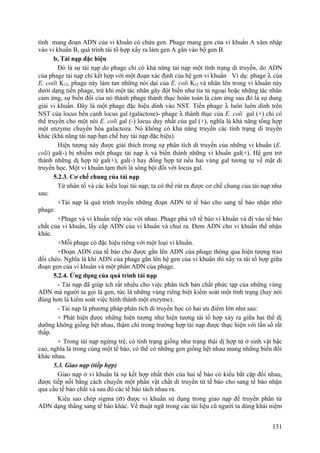 tình mang đoạn ADN của vi khuẩn có chứa gen. Phage mang gen của vi khuẩn A xâm nhập
vào vi khuẩn B, quá trình tái tổ hợp xẩy ra làm gen A gắn vào bộ gen B.
b, Tải nạp đặc hiệu
Đó là sự tải nạp do phage chỉ có khả năng tải nạp một tính trạng di truyền, do ADN
của phage tải nạp chỉ kết hợp với một đoạn xác định của hệ gen vi khuẩn Ví dụ: phage λ của
E. coili K12, phage này làm tan những nòi dại của E. coli K12 và nhân lên trong vi khuẩn này
dưới dạng tiền phage, trừ khi một tác nhân gây đột biến như tia tử ngoại hoặc những tác nhân
cảm ứng, sự biến đổi của nó thành phage thành thục hoàn toàn là cảm ứng sau đó là sự dung
giải vi khuẩn. Đây là một phage đặc hiệu dính vào NST. Tiền phage λ luôn luôn dính trên
NST của locus bên cạnh locus gal (galactose)- phage λ thành thục của E. coli gal (+) chỉ có
thể truyền cho một nòi E. coli gal (-) locus duy nhất của gal (+), nghĩa là khả năng tổng hợp
một enzyme chuyển hóa galactoza. Nó không có khả năng truyền các tính trạng di truyền
khác (khả năng tải nạp hạn chế hay tải nạp đặc hiệu).
Hiện tượng này được giải thích trong sự phân tích di truyền của những vi khuẩn (E.
coli) gal(-) bị nhiễm một phage tải nạp λ và biến thành những vi khuẩn gal(+). Hệ gen trở
thành những dị hợp tử gal(+), gal(-) hay đồng hợp tử nếu hai vùng gal tương tự về mặt di
truyền học. Một vi khuẩn tạm thời là sông bội đối với locus gal.
5.2.3. Cơ chế chung của tải nạp
Từ nhân tố và các kiểu loại tải nạp, ta có thể rút ra được cơ chế chung của tải nạp như
sau:
+Tải nạp là quá trình truyền những đoạn ADN từ tế bào cho sang tế bào nhận nhờ
phage.
+Phage và vi khuẩn tiếp xúc với nhau. Phage phá vỡ tế bào vi khuẩn và đi vào tế bào
chất của vi khuẩn, lấy cắp ADN của vi khuẩn và chui ra. Đem ADN cho vi khuẩn thể nhận
khác.
+Mỗi phage có đặc hiệu riêng với một loại vi khuẩn.
+Đoạn ADN của tế bào cho được gắn lên ADN của phage thông qua hiện tượng trao
đổi chéo. Nghĩa là khi ADN của phage gắn lên hệ gen của vi khuẩn thì xẩy ra tái tổ hợp giữa
đoạn gen của vi khuẩn và một phần ADN của phage.
5.2.4. Ứng dụng của quá trình tải nạp
- Tải nạp đã giúp ích rất nhiều cho việc phân tích bản chất phức tạp của những vùng
ADN mà người ta gọi là gen, tức là những vùng riêng biệt kiểm soát một tính trạng (hay nói
đúng hơn là kiểm soát việc hình thành một enzyme).
- Tải nạp là phương pháp phân tích di truyền học có hai ưu điểm lớn như sau:
+ Phát hiện được những hiện tượng như hiện tượng tái tổ hợp xảy ra giữa hai thể dị
dưỡng không giống hệt nhau, thậm chí trong trường hợp tải nạp được thực hiện với tần số rất
thấp.
+ Trong tải nạp ngừng trệ, có tính trạng giống như trạng thái dị hợp tử ở sinh vật bậc
cao, nghĩa là trong cùng một tế bào, có thể có những gen giống hệt nhau mang những biến đổi
khác nhau.
5.3. Giao nạp (tiếp hợp)
Giao nạp ở vi khuẩn là sự kết hợp nhất thời của hai tế bào có kiểu bắt cặp đối nhau,
được tiếp nối bằng cách chuyển một phần vật chất di truyền từ tế bào cho sang tế bào nhận
qua cầu tế bào chất và sau đó các tế bào tách nhau ra.
Kiểu sao chép sigma (σ) được vi khuẩn sử dụng trong giao nạp để truyền phân tử
ADN dạng thẳng sang tế bào khác. Về thuật ngữ trong các tài liệu cũ người ta dùng khái niệm
131
 