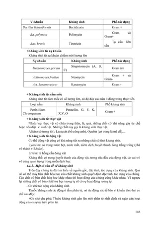 Vi khuẩn Kháng sinh Phổ tác dụng
Bacillus licheniformis Bacitdraxin Gram +
Ba. polymixa Polimycin
Gram- và
Gram+
Bac. brevis Tirotricin
Tụ cầu, liên
cầu
+Kháng sinh từ xạ khuẩn
Kháng sinh từ xạ khuẩn chiếm một lượng lớn
Xạ khuẩn Kháng sinh Phổ tác dụng
Streptomyces griceus
Strepstomycin (A, B,
C)
Gram âm
Actinomyces fradiae Neomycin
Gram + và
Gram-
Act. kanamyceticus Kanamycin Gram -
+ Kháng sinh từ nấm mốc
Kháng sinh từ nấm mốc có số lượng lớn, có độ độc cao nên ít dùng trong thực tiễn.
Loại nấm Kháng sinh Phổ kháng sinh
Penixillium
Chrysogenum
Penecilin, G, F, K,
X,V, O
Gram +
+ Kháng sinh từ thực vật
Nhiều loại thực vật có chứa trong thân, lá, quả, những chất có khả năng gây ức chế
hoặc tiêu diệt vi sinh vật. Những chất này gọi là kháng sinh thực vật.
Alicin (có trong tỏi), Lactuxin (bồ công anh), Ocubin (có trong lá mã đề),...
+ Kháng sinh từ động vật
Cơ thể động vật cũng có khả năng tiết ra những chất có tính kháng sinh.
Lyzozim: có trong nước bọt, nước mắt, niêm dịch, huyết thanh, lòng trắng trứng (phá
vỡ thành vi khuẩn).
Eritrin: từ hồng cầu động vật
Kháng thể: có trong huyết thanh của động vật, trong sữa đầu của động vật, có vai trò
vô cùng quan trọng trong miễn dịch học.
4.1.2.. Một số vấn đề về kháng sinh
Trên đây chúng ta đã tìm hiểu về nguồn gốc, đặc tính, tác dụng của kháng sinh. Qua
đó có thể thấy bản chất hóa học của chất kháng sinh quyết định đặc tính, tác dụng của chúng.
Các chất có bản chất hóa học khác nhau thì hoạt động của chúng cũng khác nhau. Và ngược
lại những chất có bản chất hóa học tương tự sẽ có sự hoạt động tương tự.
- Cơ chế tác động của kháng sinh
Thuốc kháng sinh tác động ở tầm phân tử, nó tác động vào tế bào vi khuẩn theo hai cơ
chế sau đây:
+Cơ chế che phủ: Thuốc kháng sinh gắn lên một phân tử nhất định và ngăn cản hoạt
động của enzyme trên phân tử.
148
 