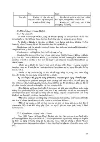 bào lượn
Cấu trúc Không có cấu trúc sợi
trục chu chất và lớp bao ngoài
Có vách tế bào cứng
Có cấu trúc sợi trục chu chất và lớp
bao ngoài, màng tế bào chất kéo dài
Không có vách cứng, chỉ là lớp
màng hay bao nhầy
2.7. Một số nhóm vi khuẩn đặc biệt
2.7.1. Xạ khuẩn [3]
Là nhóm vi sinh vật đơn bào, dạng sợi hình tia phóng xạ, có kích thước và cấu trúc
tương tự như tế bào vi khuẩn thông thường, đa số sống hiếu khí trong đất, gram dương.
Xạ khuẩn có kết cấu tế bào dạng sợi-khuẩn ty, có đường kính trong khoảng 1-1.5 µ.
Nuôi cấy trên môi trường đặc có thể phân biệt được ba loại khuẩn ty:
-Khuẩn ty cơ chất (ăn sâu vào trong môi trường làm nhiệm vụ hấp thụ chất dinh dưỡng)
còn gọi là khuẩn ty dinh dưỡng.
-Khuẩn ty trên cơ chất phát triển trên bề mặt môi trường
-Khuẩn ty khí sinh mọc lộ ra khỏi bề mặt môi trường. Đôi khi khuẩn ty không có khuẩn
ty cơ chất hặc khuẩn ty khí sinh. Khuẩn ty cơ chất hoặc khí sinh thường phân hóa thành các
cành bào tử (sinh ra các bào tử theo kiểu kết đoạn và cắt khúc) và chúng tạo thành khuẩn lạc
của xạ khuẩn.
-Khuẩn lạc xạ khuẩn rắn chắc, bề mặt xù xì, có dạng nhăn. Dạng vòi, dạng nhung tơ
hay dạng màng xơ. Khuẩn lạc xạ khuẩn thường có dạng phóng xạ hay dạng đồng tâm đường
kính 0.5-10 µ.
-Khuẩn lạc xạ khuẩn thường có màu sắc rất đẹp: trắng, đỏ, vàng, nâu, xanh, hồng
tím,...đây là tiêu chí quan trọng trong định tên xạ khuẩn.
Xạ khuẩn phân bố rộng rãi trong tự nhiên và có vai trò quan trọng về nhiều mặt:
+Tham gia vào quá trình phân giải mạnh các hợp chất hữu cơ kể cả các chất phức tạp
như celluose, kitin, keratin, pectin, linhin,...trong đất bùn do đó làm tăng độ phì của đất và
góp phần làm cân bằng các thành phần vật chất trong tự nhiên.
+Hầu hết các xạ khuẩn thuộc chi Actinomyces có khả năng sinh kháng sinh, nhiều
kháng sinh quan trọng hiện nay được chiết suất từ xạ khuẩn như: tetraciclin, streptomycin,
chloramphenicol (chất này hiện nay thú y cấm sử dụng),...một số kháng sinh sản xuất từ xạ
khuẩn có tác dụng diệt côn trùng hay tuyến trùng,...
+Một số xạ khuẩn có khả năng tổng hợp mạnh các chất sinh học như vitamin nhóm B,
một số acid hữu cơ hay các enzyme như proteaza, ammylaza, kitinaza,...
+Một số xạ khuẩn có thể gây hại cho các vi sinh vật trong đất do nó tiết độc tố
phytotoxin. Một số có khả năng gây bệnh cho người, gia súc được gọi chung là bệnh
Actinomycose.
2.7.2. Mycoplasma và dạng L của vi khuẩn
Năm 1898, Nocar và Roux (Pháp) đã phát hiện thấy Mycoplasma trong bệnh viêm
phổi-màng phổi nên được đặt tên là P.P.O (Pleuro pneumonia organisme), nhưng sau đã phân
lập thấy các dạng tương tự trong cơ thể dê, cừu, chó,,... nên gọi chung là nhóm P.P.L.O
(Pleuro pneumonia like organisme nhóm vi sinh vật giống loại gây nên bệnh viêm màng phổi-
phổi).
19
 