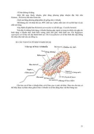-Tế bào không di động.
-Khó bắt màu thuốc nhuộm, phải dùng phương pháp nhuộm đặc biệt như
Giemsa,...Rickettsia bắt màu Gram âm.
-Sinh sản bằng phương pháp phân cắt giống như vi khuẩn
-Đề kháng yếu với nhiệt độ cao, 800
C chết sau 1 phút, mẫn cảm với sự khô hạn và các
chất sát trùng.
-Gây bệnh sốt phát ban Rickettsia prowazekii và sốt hồi quy Coxiella burnetii.
Trên đây là những hình dạng vi khuẩn thường gặp, ngoài ra trong tự nhiên còn gặp các
hình dạng vi khuẩn như: hình khối vuông, khối tam giác, khối hình sao. Chi Beggiatoa
saprospira có tế bào nối dài thành hình sợi. Chi Caryophanon có tế bào hình đĩa xếp chồng
lên nhau như một xâu các đồng xu.
III. CẤU TẠO CỦA TẾ BÀO VI KHUẨN [4]
Cấu trúc của tế bào vi khuẩn khác với tế bào của vi sinh vật khác. Dựa vào cấu trúc có
thể thấy được sự khác nhau giữa tế bào vi khuẩn và tế bào động thực vật theo bảng sau:
21
 