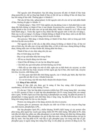 Thể nguyên sinh (Protoplast): Sau khi dùng lysozyme để phá vỡ thành tế bào hoặc
dùng penicillin ức chế sự tổng hợp thành tế bào có thể chỉ tạo ra những tế bào chỉ được bao
bọc bởi màng tế bào chất. Thường gặp ở vi khuẩn G +
.
Thể cầu (tế bào trần, sphaeroplast): là thể nguyên sinh chỉ còn sót lại một phần thành
tế bào, thường chỉ gặp ở vi khuẩn G-
.
Vi khuẩn dạng L: Năm 1935 Viện nghiên cứu dự phòng Lister ở Anh phát hiện ra một
dạng đột biến không có thành tế bào ở trực khuẩn Streptobacillus moniliformis. Tế bào của
chúng phình to lên và rất mẫn cảm với áp suất thẩm thấu. Nhiều vi khuẩn G -
và G+
đều có thể
hình thành dạng L. Trước đây người ta hay nhầm lẫn thể nguyên sinh và thể cầu với dạng L.
Hiện nay ta chỉ coi dạng L là chủng vi khuẩn không có thành tế bào được sinh ra do đột biến
trong phòng thí nghiệm và có thể mang tính di truyền ổn định.
Mycoplasma: Một dạng vi khuẩn không có thành tế bào được sinh ra trong quá trình
tiến hoá lâu dài của tự nhiên.
Thể nguyên sinh và thể cầu có đặc điểm chung là không có thành tế bào, tế bào trở
nên có hình cầu, rất mẫn cảm với áp suất thẩm thấu, có thể có tiên mao, nhưng không di động
được, không mẫn cảm với thực khuẩn thể, không phân bào được,...
Thành tế bào có các chức năng chủ yếu sau:
-Duy trì hình dạng của tế bào
-Duy trì áp suất thẩm thấu bên trong tế bào
- Hỗ trợ sự chuyển động của tiên mao
- Giúp tế bào đề kháng với các lực tác động bên ngoài
- Cần thiết cho quá trình phân cắt bình thường của tế bào
- Điều tiết sự xâm nhập của một số chất, ngăn cản sự thất thoát các enzyme, sự xâm
nhập của các chất hóa học hoặc enzyme từ bên ngoài gây hại tế bào, như muối mật, enzyme
tiêu hóa, lysozim, chất kháng sinh.
- Có liên quan mật thiết đến tính kháng nguyên, của vi khuẩn gây bệnh, đặc biệt liên
quan đến nội độc tố của vi khuẩn Gram âm.
- Có vai trò trong việc bắt màu thuốc nhuộm khi nhuộm Gram.
3.2. Màng tế bào chất [6]
Màng tế bào chất còn được gọi là màng tế bào hay màng chất (Cytoplasmic
membrane), viết tắt là CM, dày khoảng 7-8 nm.
Có cấu tạo 3 lớp: hai lớp phân tử protein (chiếm hơn 50% trọng lượng khô của màng
và 10-20% protein tế bào) và một lớp kép photpholipit (20-3% trọng lượng khô của màng)
nằm ở giữa, 70-90% lipid của tế bào tâp trung ở photpholipit của màng. Sự phân bố protein và
photpholipit ở màng nguyên sinh chất khác nhau ở từng vùng. Sự phân bố đó tạo nên các lỗ
hổng trên màng thuận lợi cho sụ vận chuyển.
Protein của màng gồm có hai dạng: protein cấu trúcvà enzyme.
Enzyme gồm có: permeaza vận chuyển các chất vào tế bào và các enzyme tổng hợp
các chất murein, photpholipit, LPS,...
Hai lớp phosphor lipid (PL), chiếm khoảng 30-40% khối lượng và các protein nằm
phía trong, phía ngoài hay xuyên qua màng chiếm 60-70% khối lượng. Mỗi phân tử PL chứa
một đầu tích điện hay phân cực (đầu phosphate) và một đuôi không tích điện hay không phân
cực (hydrat carbon). Đầu phosphate còn gọi là đầu háu nước, còn đầu hidratcarbon còn gọi là
đầu kỵ nước. Hai lớp phân tử PL một lớp có gốc phosphat quay vào trong một lớp có gốc
phosphat quay ra ngoài màng làm màng hóa lỏng và cho phép các protein di động tự do. Sự
24
 