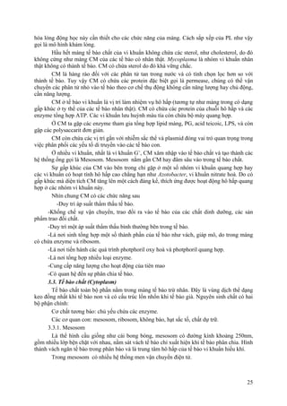 hóa lỏng động học này cần thiết cho các chức năng của màng. Cách sắp xếp của PL như vậy
gọi là mô hình khảm lỏng.
Hầu hết màng tế bào chất của vi khuẩn không chứa các sterol, như cholesterol, do đó
không cứng như màng CM của các tế bào có nhân thật. Mycoplasma là nhóm vi khuẩn nhân
thật không có thành tế bào. CM có chứa sterol do đó khá vững chắc.
CM là hàng rào đối với các phân tử tan trong nước và có tính chọn lọc hơn so với
thành tế bào. Tuy vậy CM có chứa các protein đặc biệt gọi là permease, chúng có thể vận
chuyển các phân tử nhỏ vào tế bào theo cơ chế thụ động không cần năng lượng hay chủ động,
cần năng lượng.
CM ở tế bào vi khuẩn là vị trí làm nhiệm vụ hô hấp (tương tự như màng trong có dạng
gấp khúc ở ty thể của các tế bào nhân thật). CM có chứa các protein của chuỗi hô hấp và các
enzyme tổng hợp ATP. Các vi khuẩn lưu huỳnh màu tía còn chứa bộ máy quang hợp.
Ở CM ta gặp các enzyme tham gia tổng hợp lipid màng, PG, acid teicoic, LPS, và còn
gặp các polysaccarit đơn giản.
CM còn chứa các vị trí gắn với nhiễm sắc thể và plasmid đóng vai trò quan trọng trong
việc phân phối các yếu tố di truyền vào các tế bào con.
Ở nhiều vi khuẩn, nhất là vi khuẩn G+
, CM xâm nhập vào tế bào chất và tạo thành các
hệ thống ống gọi là Mesosom. Mesosom nằm gần CM hay đâm sâu vào trong tế bào chất.
Sự gấp khúc của CM vào bên trong chỉ gặp ở một số nhóm vi khuẩn quang hợp hay
các vi khuẩn có hoạt tính hô hấp cao chẳng hạn như Azotobacter, vi khuẩn nitrate hoá. Do có
gấp khúc mà diện tích CM tăng lên một cách đáng kể, thích ứng được hoạt động hô hấp quang
hợp ở các nhóm vi khuẩn này.
Nhìn chung CM có các chức năng sau
-Duy trì áp suất thẩm thấu tế bào.
-Khống chế sự vận chuyển, trao đổi ra vào tế bào của các chất dinh dưỡng, các sản
phẩm trao đổi chất.
-Duy trì một áp suất thẩm thấu bình thường bên trong tế bào.
-Là nơi sinh tổng hợp một số thành phần của tế bào như vách, giáp mô, do trong màng
có chứa enzyme và ribosom.
-Là nơi tiến hành các quá trình photphoril oxy hoá và photphoril quang hợp.
-Là nơi tổng hợp nhiều loại enzyme.
-Cung cấp năng lượng cho hoạt động của tiên mao
-Có quan hệ đến sự phân chia tế bào.
3.3. Tế bào chất (Cytoplasm)
Tế bào chất toàn bộ phần nằm trong màng tế bào trừ nhân. Đây là vùng dịch thể dạng
keo đồng nhất khi tế bào non và có cấu trúc lổn nhổn khi tế bào già. Nguyên sinh chất có hai
bộ phận chính:
Cơ chất tương bào: chủ yếu chứa các enzyme.
Các cơ quan con: mesosom, ribosom, không bào, hạt sắc tố, chất dự trữ.
3.3.1. Mesosom
Là thể hình cầu giống như cái bong bóng, mesosom có đường kính khoảng 250nm,
gồm nhiều lớp bện chặt với nhau, nằm sát vách tế bào chỉ xuất hiện khi tế bào phân chia. Hình
thành vách ngăn tế bào trong phân bào và là trung tâm hô hấp của tế bào vi khuẩn hiếu khí.
Trong mesosom có nhiều hệ thống men vận chuyển điện tử.
25
 