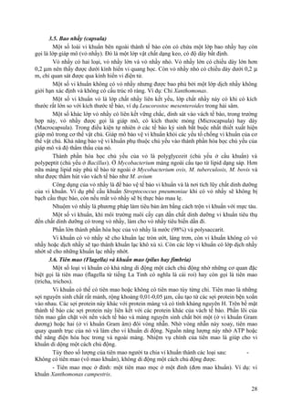 3.5. Bao nhầy (capsula)
Một số loài vi khuẩn bên ngoài thành tế bào còn có chứa một lớp bao nhầy hay còn
gọi là lớp giáp mô (vỏ nhầy). Đó là một lớp vật chất dạng keo, có độ dày bất định.
Vỏ nhầy có hai loại, vỏ nhầy lớn và vỏ nhầy nhỏ. Vỏ nhầy lớn có chiều dày lớn hơn
0,2 µm nên thấy được dưới kính hiển vi quang học. Còn vỏ nhầy nhỏ có chiều dày dưới 0,2 µ
m, chỉ quan sát được qua kính hiển vi điện tử.
Một số vi khuẩn không có vỏ nhầy nhưng được bao phủ bởi một lớp dịch nhầy không
giới hạn xác định và không có cấu trúc rõ ràng. Ví dụ: Chi Xanthomonas.
Một số vi khuẩn vỏ là lớp chất nhầy liên kết yếu, lớp chất nhầy này có khi có kích
thước rất lớn so với kích thước tế bào, ví dụ Leucorostoc mesenteroides trong hải sâm.
Một số khác lớp vỏ nhầy có liên kết vững chắc, dính sát vào vách tế bào, trong trường
hợp này, vỏ nhầy được gọi là giáp mô, có kích thước mỏng (Microcapsula) hay dày
(Macrocapsula). Trong điều kiện tự nhiên ở các tế bào ký sinh bắt buộc nhất thiết xuất hiện
giáp mô trong cơ thể vật chủ. Giáp mô bảo vệ vi khuẩn khỏi các yếu tố chống vi khuẩn của cơ
thể vật chủ. Khả năng bảo vệ vi khuẩn phụ thuộc chủ yếu vào thành phần hóa học chủ yếu của
giáp mô và độ thẩm thấu của nó.
Thành phần hóa học chủ yếu của vỏ là polyglycozit (chủ yếu ở cầu khuẩn) và
polypeptit (chủ yếu ở Bacillus). Ở Mycobacterium màng ngoài cấu tạo từ lipid dạng sáp. Hơn
nữa màng lipid này phủ tế bào từ ngoài ở Mycobacterium ovis, M. tuberculosis, M. bovis và
như được thẩm hút vào vách tế bào như M. avium
Công dụng của vỏ nhầy là để bảo vệ tế bào vi khuẩn và là nơi tích lũy chất dinh dưỡng
của vi khuẩn. Ví dụ phế cầu khuẩn Streptococcus pneumoniae khi có vỏ nhầy sẽ không bị
bạch cầu thực bào, còn nếu mất vỏ nhầy sẽ bị thực bào mau lẹ.
Nhuộm vỏ nhầy là phương pháp làm tiêu bản âm bằng cách trộn vi khuẩn với mực tàu.
Một số vi khuẩn, khi môi trường nuôi cấy cạn dần chất dinh dưỡng vi khuẩn tiêu thụ
đến chất dinh dưỡng có trong vỏ nhầy, làm cho vỏ nhầy tiêu biến dần đi.
Phần lớn thành phần hóa học của vỏ nhầy là nước (98%) và polysaccarit.
Vi khuẩn có vỏ nhầy sẽ cho khuẩn lạc tròn ướt, láng trơn, còn vi khuẩn không có vỏ
nhầy hoặc dịch nhầy sẽ tạo thành khuẩn lạc khô xù xì. Còn các lớp vi khuẩn có lớp dịch nhầy
nhớt sẽ cho những khuẩn lạc nhầy nhớt.
3.6. Tiên mao (Flagella) và khuẩn mao (pilus hay fimbria)
Một số loại vi khuẩn có khả năng di động một cách chủ động nhờ những cơ quan đặc
biệt gọi là tiên mao (flagella từ tiếng La Tinh có nghĩa là cái roi) hay còn gọi là tiên mao
(tricha, trichos).
Vi khuẩn có thể có tiên mao hoặc không có tiên mao tùy từng chi. Tiên mao là những
sợi nguyên sinh chất rất mảnh, rộng khoảng 0,01-0,05 µm, cấu tạo từ các sợi protein bện xoắn
vào nhau. Các sợi protein này khác với protein màng và có tính kháng nguyên H. Trên bề mặt
thành tế bào các sợi protein này liên kết với các protein khác của vách tế bào. Phần lõi của
tiên mao gắn chặt với nền vách tế bào và màng nguyên sinh chất bởi một (ở vi khuẩn Gram
dương) hoặc hai (ở vi khuẩn Gram âm) đôi vòng nhẫn. Nhờ vòng nhẫn này xoay, tiên mao
quay quanh trục của nó và làm cho vi khuẩn di động. Nguồn năng lượng này nhờ ATP hoặc
thế năng điện hóa học trong và ngoài màng. Nhiệm vụ chính của tiên mao là giúp cho vi
khuẩn di dộng một cách chủ động.
Tùy theo số lượng của tiên mao người ta chia vi khuẩn thành các loại sau: -
Không có tiên mao (vô mao khuẩn), không di động một cách chủ động được.
- Tiên mao mọc ở đỉnh: một tiên mao mọc ở một đỉnh (đơn mao khuẩn). Ví dụ: vi
khuẩn Xanthomonas campestris.
28
 