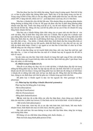 Nha bào được bao bọc bởi nhiều lớp màng. Ngoài cùng là màng ngoài. Dưới đó là lớp
vỏ, vỏ bào tử gồm nhiều lớp, không thấm nước. Dưới lớp vỏ là lớp màng trong của bào tử.
Trong cùng là khối tế bào chất có cấu tạo đồng nhất, thành phần hóa học của nha bào: nước
chiếm 40% ở dạng liên kết, nhiều ion Ca+2
, acid dipicolinic (acid này chỉ có ở nha bào).
Nha bào vi khuẩn khi chín rất khó bắt màu. Nếu nhuộm bằng các phương pháp nhuộm
thông thường ta không thấy rõ bào tử. Để quan sát được nha bào ta phải dùng phương pháp
nhuộm màu đặc biệt. Trước tiên dùng acid để xử lý, sau đó mới nhuộm màu. Màu của nha
bào khi đó rất khó tẩy. Dùng cồn hay acid để tẩy phần còn lại của tế bào rồi nhuộm bổ sung
bằng thuốc nhuộm thứ hai.
Nha bào của vi khuẩn không chứa chức năng của cơ quan sinh sản như bào tử của
sinh vật khác. Đây là hình thức sống tiềm sinh của vi khuẩn. Bào tử giúp cho vi khuẩn vượt
qua những điều kiện bất lợi của ngoại cảnh. Bào tử thường được sinh ra trong điều kiện khó
khăn như thiếu thức ăn, nhiệt độ và pH không thích hợp, môi trường tích lũy nhiều sản phẩm
trao đổi chất có hại,... Tuy nhiên, vi khuẩn nhiệt thán, hình thành nha bào trong điều kiện có
lợi nhất định: sự có mặt của oxy khí quyển, nhiệt độ thích hợp (vì vậy cấm mổ xác súc vật
chết do bệnh nhiệt thán). Chính vì vậy người ta coi nha bào là hình thức tổ chức lại tế bào
chất để nâng cao sức sống của vi khuẩn.
Một số nha bào đóng vai trò truyền bệnh (như than, uốn ván, hoại thư sinh hơi, ngộ
độc thức ăn,...). Làm vô hoạt nha bào của một số vi khuẩn loại này là nguyên tắc để chế ra
một số vaccin.
Sự nẩy mầm của nha bào: Quá trình chuyển từ trạng thái nghỉ sang tế bào sinh dưỡng
của vi khuẩn được gọi là quá trình nẩy mầm của nha bào. Quá trình này gồm 3 giai đoạn: hoạt
hóa, nẩy mầm và sinh trưởng.
IV. PHÂN LOẠI VI KHUẨN [7]
Như tất cả các động vật, thực vật và vi sinh vật khác, vi khuẩn được sắp xếp vào trong
những hệ thống phân loại xác định. Sự sắp xếp này hết sức cần thiết. Khi biết vị trí của một vi
khuẩn nào đó mới tìm được ở trong một bảng phân loại xác định nào đó chúng ta sẽ biết được
vi khuẩn đó có những tính chất sinh vật học xác định nào đó. Đồng thời nhờ hệ thống phân
loại, chúng ta xác định được mối liên hệ giữa các vi khuẩn trong quá trình tiến hóa.
Để phân loại vi khuẩn người ta dựa vào hai nguyên tắc: theo genotype và theo
phenotype.
4.1. Phân loại học hệ thống vi khuẩn (Bacterial systematics)
Phân loại học hệ thống gồm 4 nội dung:
-Mô tả (Description)
-Xếp lớp (Classification)
-Đặt tên (Nomenclature)
-Đồng định (Indentification)
Mô tả: trình bày tất cả đặc điểm các mẫu thu thập được, chọn chủng quy chuẩn đại
diện cho một đơn vị phân loại (taxon). Có hai bước mô tả: mô tả kiểu hình và mô tả kiểu gen.
+Mô tả kiểu hình (phenotypeic)
Mô tả hình thái: trình bày tất cả các đặc tính hình thái, kích thước, bắt màu thuốc
nhuộm Gram, hình thành tiên mao roi (tiên mao), nha bào, giáp mô,...
Đặc tính sinh hóa: lên men đường và các loại chất liệu khác nhau, năng lực sử dụng
môi trường khác nhau.
Đề kháng với các chất khác nhau (kháng sinh, thuốc nhuộm,...)
Phân tích kiểu dạng thành phần protein tế bào.
31
 