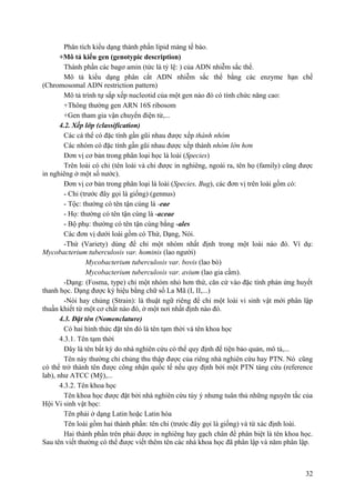 Phân tích kiểu dạng thành phần lipid màng tế bào.
+Mô tả kiểu gen (genotypic description)
Thành phần các bagơ amin (tức là tỷ lệ: ) của ADN nhiễm sắc thể.
Mô tả kiểu dạng phân cắt ADN nhiễm sắc thể bằng các enzyme hạn chế
(Chromosomal ADN restriction pattern)
Mô tả trình tự sắp xếp nucleotid của một gen nào đó có tính chức năng cao:
+Thông thường gen ARN 16S ribosom
+Gen tham gia vận chuyển điện tử,...
4.2. Xếp lớp (classification)
Các cá thể có đặc tính gần gũi nhau được xếp thành nhóm
Các nhóm có đặc tính gần gũi nhau được xếp thành nhóm lớn hơn
Đơn vị cơ bản trong phân loại học là loài (Species)
Trên loài có chi (tên loài và chi được in nghiêng, ngoài ra, tên họ (family) cũng được
in nghiêng ở một số nước).
Đơn vị cơ bản trong phân loại là loài (Species, Bug), các đơn vị trên loài gồm có:
- Chi (trước đây gọi là giống) (gennus)
- Tộc: thường có tên tận cùng là -eae
- Họ: thường có tên tận cùng là -aceae
- Bộ phụ: thường có tên tận cùng bằng -ales
Các đơn vị dưới loài gồm có Thứ, Dạng, Nòi.
-Thứ (Variety) dùng để chỉ một nhóm nhất định trong một loài nào đó. Ví dụ:
Mycobacterium tuberculosis var. hominis (lao người)
Mycobacterium tuberculosis var. bovis (lao bò)
Mycobacterium tuberculosis var. avium (lao gia cầm).
-Dạng: (Fosma, type) chỉ một nhóm nhỏ hơn thứ, căn cứ vào đặc tính phản ứng huyết
thanh học. Dạng được ký hiệu bằng chữ số La Mã (I, II,...)
-Nòi hay chủng (Strain): là thuật ngữ riêng để chỉ một loài vi sinh vật mới phân lập
thuần khiết từ một cơ chất nào đó, ở một nơi nhất định nào đó.
4.3. Đặt tên (Nomenclature)
Có hai hình thức đặt tên đó là tên tạm thời và tên khoa học
4.3.1. Tên tạm thời
Đây là tên bất kỳ do nhà nghiên cứu có thể quy định để tiện bảo quản, mô tả,...
Tên này thường chỉ chủng thu thập được của riêng nhà nghiên cứu hay PTN. Nó cũng
có thể trở thành tên được công nhận quốc tế nếu quy định bởi một PTN tàng cứu (reference
lab), như ATCC (Mỹ),...
4.3.2. Tên khoa học
Tên khoa học được đặt bởi nhà nghiên cứu tùy ý nhưng tuân thủ những nguyên tắc của
Hội Vi sinh vật học:
Tên phải ở dạng Latin hoặc Latin hóa
Tên loài gồm hai thành phần: tên chi (trước đây gọi là giống) và từ xác định loài.
Hai thành phần trên phải được in nghiêng hay gạch chân để phân biệt là tên khoa học.
Sau tên viết thường có thể được viết thêm tên các nhà khoa học đã phân lập và năm phân lập.
32
 