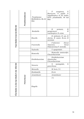 TrựckhuẩnGramâmhiếukhí
Pseudomonadaceae
Pseudomonas
Burkholderia, Ba chi
khác
P. aeruginosa, P.
fluorescens, P. putida, P.
anguilliseptica, B .(P). mallei,
B.(P). pseudomallei, 86 loài
khác
Bordetella
B. pertussis, B.
parapertussis, B.
ronchiseptica, B. avium
Brucella
B. melitensis, B. suis, B.
abortus, B. cannis, B.ovis, B.
neotomae
Frarerisella
F.tularensis (biovar
Tularensis, biovar
Palacearctica) F. novicida.
Taylorella T. equigenitalis
Riemerella
Riemerella anatisestifer,
Chryseobacterium
Ornithobacterium
Ornithobacterium
rhinotrachae,
Chryseobacterium
CầukhuẩnvàcầutrựckhuẩnGâmhiếukhí
Neisseriaceae
Neisseria
N. meningitidis, N.
gonorrhoeae
Moraxella M. bovis, 5 L
Branhamella B.ovis
Acinetobacter Acinetobacter
Kingella
3 L
36
 