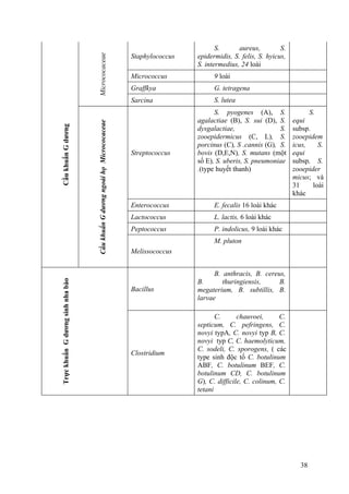 CầukhuẩnGdương
Micrococaceae
Staphylococcus
S. aureus, S.
epidermidis, S. felis, S. hyicus,
S. intermedius, 24 loài
Micrococcus 9 loài
Graffkya G. tetragena
Sarcina S. luteaCầukhuẩnGdươngngoàihọMicrococaceae
Streptococcus
S. pyogenes (A), S.
agalactiae (B), S. sui (D), S.
dysgalactiae, S.
zooepidermicus (C, L), S.
porcinus (C), S .cannis (G), S.
bovis (D,E,N), S. mutans (một
số E), S. uberis, S. pneumoniae
.(type huyết thanh)
S.
equi
subsp.
zooepidem
icus, S.
equi
subsp, S.
zooepider
micus; và
31 loài
khác
Enterococcus E. fecalis 16 loài khác
Lactococcus L. lactis, 6 loài khác
Peptococcus P. indolicus, 9 loài khác
Melissococcus
M. pluton
TrựckhuẩnGdươngsinhnhabào
Bacillus
B. anthracis, B. cereus,
B. thuringiensis, B.
megaterium, B. subtillis, B.
larvae
Clostridium
C. chauvoei, C.
septicum, C. pefringens, C.
novyi typA, C. novyi typ B, C.
novyi typ C, C. haemolyticum,
C. sodeli, C. sporogens, ( các
type sinh độc tố C. botulinum
ABF, C. botulinum BEF, C.
botulinum CD, C. botulinum
G), C. difficile, C. colinum, C.
tetani
38
 