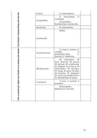 TrựckhuẩnGdươngkhôngsinhnhabào
Listeria L. monocytogenes,
Erysipelothrix
E. rhusiopathiae, E.
tonsillarum
Erysipelothrix,
Renibacterium, Lactobacillus
Renibacilus R. salmoninarum
Lactobacillus
40 loài
Liênxạkhuẩngâybệnh(trựckhuẩncóxuhướngsinhnhánh)
Corynebacterium
C. renale, C. pilosum, C.
cystitidis, C.
pseudotuberculosis, C.
kutscheri, C. diphtheriae
Mycobacterium
M. tuberculosis, M.
bovis, B.microti, M. kansaii,
M. marinum, M. scrofulaceum,
M. goldonae, M. avium sp, M.
intracellulare, M. ulcerance,
M. xenopi, M. gastri, M. phlei,
M. fortuitum, M. smegmatis,
M. avium sp paratuberculosis,
M. lepraemurium, M. leprae
Actinomyces
A. bovis, A. isaraelii, A.
pyogennes
Dermatophilus,
Rhodococcus, Nocardia
39
 