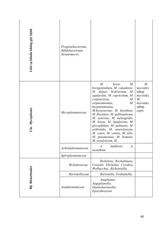 Liênxạkhuẩnkhônggâybệnh
Propionibacterium,
Bifidobacterium,
Streptomyces
CácMycoplasma
Mycoplasmataceae
M. bovis, M.
bovigenitalium, M. canadense,
M. dispar, M.diversum, M.
agalactiae, M. capricolum, M.
conjunctivae, M.
ovipneumoniae, M.
hyopneumoniae,
M.hyosynoviae, M. hyorhinis,
M. floculare, M. gallisepticum,
M. synoviae, M, meleagridis,
M. lowae, M. lipofaciens, M.
glycophilum, M. pulmonis, M.
arthritidis, M. neurolyticum,
M. cynos, M. cannis, M. felis,
M. pneumoniae, M. hominis,
M. urealyticum, M.
M.
mycoides
subsp
mycoides,
M..
mycoides
subsp.
capri
Acholeplasmataceae
A. laidlawii, A.
axanthum.
Spiroplasmataceae
BộRickettsiales
Rickettsiaceae
Rickettsia, Rochalimaea,
Coxiella, Ehrlichia, Cowdria,
Wolbacchia, Rickettsiella,
Bartonellaceae Bartonella, Grahamella,
Anaplasmataceae
Anaplasma,
Aegyptianella,
Haemobartonella,
Eperythrozoon
40
 