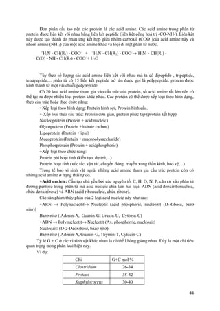 Đơn phân cấu tạo nên các protein là các acid amine. Các acid amine trong phân tử
protein đuợc liên kết với nhau bằng liên kết peptide (liên kết cộng hoá trị -CO-NH-). Liên kết
này được tạo thành do phản ứng kết hợp giữa nhóm carboxil (COO-
)của acid amine này và
nhóm amine (NH+
3) của một acid amine khác và loại đi một phân tử nước.
Tùy theo số lượng các acid amine liên kết với nhau mà ta có dipeptide , tripeptide,
tetrapeptide,... phân tử có 15 liên kết peptide trở lên được gọi là polypeptide, protein được
hình thành từ một vài chuỗi polypeptide.
Có 20 loại acid amine tham gia vào cấu trúc của protein, số acid amine rất lớn nên có
thể tạo ra được nhiều loại protein khác nhau. Các protein có thể được xếp loại theo hình dạng,
theo cấu trúc hoặc theo chức năng:
+Xếp loại theo hình dạng: Protein hình sợi, Protein hình cầu.
+ Xếp loại theo cấu trúc: Protein đơn giản, protein phức tạp (protein kết hợp)
Nucleoprotein (Protein + acid nucleic)
Glycoprotein (Protein +hidrate carbon)
Lipoprotein (Protein +lipid)
Mucoprotein (Protein + mucopolysaccharide)
Phosphorprotein (Protein + acidphosphoric)
+Xếp loại theo chức năng:
Protein phi hoạt tính (kiến tạo, dự trữ,...)
Protein hoạt tính (xúc tác, vận tải, chuyển động, truyền xung thần kinh, bảo vệ,...)
Trong tế bào vi sinh vật ngoài những acid amine tham gia cấu trúc protein còn có
những acid amine ở trạng thái tự do.
+Acid nucleic: Cấu tạo chủ yếu bởi các nguyên tố, C, H, O, N, P, căn cứ vào phân tử
đường pentose trong phân tử mà acid nucleic chia làm hai loại: ADN (acid deoxiribonucleic,
chứa deoxiribose) và ARN (acid ribonucleic, chứa ribose).
Các sản phẩm thủy phân của 2 loại acid nucleic này như sau:
+ARN → Polynucleotit→ Nucleotit (acid phosphoric, nucleozit (D-Ribose, bazơ
nitơ))
Bazơ nitơ ( Adenin-A, Guanin-G, Uraxin-U, Cytozin-C)
+ADN → Polynucleotit→ Nucleotit (Ax. phosphorric, nucleozit)
Nucleozit: (D-2-Deoxibose, bazơ nitơ)
Bazơ nitơ ( Adenin-A, Guanin-G, Thymin-T, Cytozin-C)
Tỷ lệ G + C ở các vi sinh vật khác nhau là có thể không giống nhau. Đây là một chỉ tiêu
quan trọng trong phân loại hiện nay.
Ví dụ:
Chi G+C mol %
Clostridium 26-34
Proteus 38-42
Staphylococcus 30-40
44
+
H3N - CH(R1) - COO-
+ +
H3N - CH(R2) - COO-
→+
H3N - CH(R1) -
C(O) - NH - CH(R2) - COO-
+ H2O
 