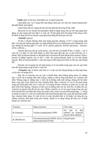 +Lipid: gồm có hai loại, lipid phân cực và lipid trung tính
Lipid phân cực: nó ở trạng thái hoạt động, tham gia vào cấu trúc màng (lypoprotein,
phosphorlipid, glycolipid)
Lipid trung tính nó ở dạng dự trữ (các hạt lipid dự trữ trong tế bào chất)
Mesosom là nơi chuyển hóa phosphor lipid từ dạng trung tính dự trữ sang dạng hoạt
động, nó như mạng lưới nội chất ở vi sinh vật. Tế bào phát triển thì màng tế bào rộng ra khi
đó lipid từ dạng dự trữ nó chuyển sang dạng hoạt động để tham gia cấu trúc.
+Glucide: (gluxit)
Tế bào vi khuẩn thường chứa một lượng glucide, khoảng 12-18 % trọng lượng chất
khô. Các glucide thường gặp gồm các dạng đường đơn (ose), đường kép (osie) đường đa. Các
loại đường đa thường gặp ở vi sinh vật là: glucan (glucarl), dextran (dextrane), amylose,
chitin, cellulose ,...
Glucide tham gia cấu tạo acid nucleic, vào cấu trúc của thành tế bào, vỏ nhầy,... của vi
sinh vật. Vỏ nhầy và việc hình thành vỏ nhầy liên quan đến độc lực và quá trình bảo vệ vi
khuẩn. Một số polysaccharide có thể phối hợp với protein để hình thành gluco-protein. Gluco-
protein là kháng nguyên của cơ thể vi sinh vật, polysaccharide đóng vai trò bán kháng
nguyên. Một số polysaccharide vi sinh vật cũng có khả năng kích thích cơ thể sản sinh kháng
thể.
Glucide còn là nguồn dự trữ năng lượng và là sản phẩm trung gian của các quá trình
trao đổi năng lượng trong tế bào vi sinh vật.
+Vitamine: đây là nhóm chất hữu cơ vi sinh vật cần nhưng không tự tổng hợp được
và chỉ cần với lượng rất ít.
Nhu cầu về vitamine của các loại vi khuẩn khác nhau không giống nhau. Có những
loại vi sinh vật tự dưỡng chất sinh trưởng, chúng có thể tự tổng hợp được các vitamine cần
thiết. Nhưng cũng có những loại vi sinh vật dị dưỡng chất sinh trưởng, chúng đòi hỏi phải
được cung cấp ít hay nhiều các loại vitamine khác nhau. vitamine có vai trò rất quan trọng
trong quá trình phát triển của vi sinh vật. Với lượng rất nhỏ vitamine sẽ giúp cho vi sinh vật
phát triển bình thường. vitamine có thể xem là những chất xúc tác sinh học và phần lớn các
vitamine là nguyên liệu để cấu tạo men. Nhiều vitamine có vai trò quan trọng trong các quá
trình chuyển hóa vật chất (như trong chu trình Crebs, trong các quá trình quang hợp,...). Trong
tự nhiên có một số vi sinh vật muốn phát triển bình thường phải cần cung cấp một hoặc nhiều
loại vitamine khác nhau. Có một số nòi có mức độ phát triển tỷ lệ thuận với nồng độ của
những vitamine nhất định trong môi trường. Người ta sử dụng chúng để kiểm tra và định
lượng các vitamine này.
Vitamine Dạng coenzyme Chức năng
B1 (Tiamine) Tiamine pirophosphate (TPP)
Oxi hoá và khử
carboxil các ketoacid,
chuyển nhóm aldehyd
B2 (Riboflavin)
Flavinmononucleotit (FMN), flavin
adenin dinucleotit (FAD)
Chuyển hydro
45
 