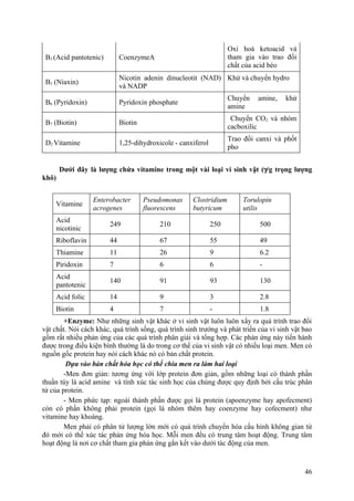 B3 (Acid pantotenic) CoenzymeA
Oxi hoá ketoacid và
tham gia vào trao đổi
chất của acid béo
B5 (Niaxin)
Nicotin adenin dinucleotit (NAD)
và NADP
Khử và chuyển hydro
B6 (Pyridoxin) Pyridoxin phosphate
Chuyển amine, khử
amine
B7 (Biotin) Biotin
Chuyển CO2 và nhóm
cacboxilic
D2 Vitamine 1,25-dihydroxicole - canxiferol
Trao đổi canxi và phốt
pho
Dưới đây là lượng chứa vitamine trong một vài loại vi sinh vật (γ/g trọng lượng
khô)
Vitamine
Enterobacter
acrogenes
Pseudomonas
fluorescens
Clostridium
butyricum
Torulopin
utilis
Acid
nicotinic
249 210 250 500
Riboflavin 44 67 55 49
Thiamine 11 26 9 6.2
Piridoxin 7 6 6 -
Acid
pantotenic
140 91 93 130
Acid folic 14 9 3 2.8
Biotin 4 7 - 1.8
+Enzyme: Như những sinh vật khác ở vi sinh vật luôn luôn xẩy ra quá trình trao đổi
vật chất. Nói cách khác, quá trình sống, quá trình sinh trưởng và phát triển của vi sinh vật bao
gồm rất nhiều phản ứng của các quá trình phân giải và tổng hợp. Các phản ứng này tiến hành
được trong điều kiện bình thường là do trong cơ thể của vi sinh vật có nhiều loại men. Men có
nguồn gốc protein hay nói cách khác nó có bản chất protein.
Dựa vào bản chất hóa học có thể chia men ra làm hai loại
-Men đơn giản: tương ứng với lớp protein đơn giản, gồm những loại có thành phần
thuần túy là acid amine và tính xúc tác sinh học của chúng được quy định bởi cấu trúc phân
tử của protein.
- Men phức tạp: ngoài thành phần được gọi là protein (apoenzyme hay apofecment)
còn có phần không phải protein (gọi là nhóm thêm hay coenzyme hay cofecment) như
vitamine hay khoáng.
Men phải có phân tử lượng lớn mới có quá trình chuyển hóa cấu hình không gian từ
đó mới có thể xúc tác phản ứng hóa học. Mỗi men đều có trung tâm hoạt động. Trung tâm
hoạt động là nơi cơ chất tham gia phản ứng gắn kết vào dưới tác động của men.
46
 