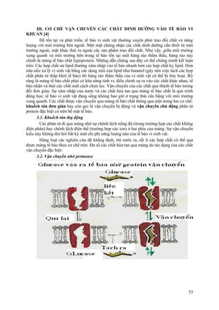 III. CƠ CHẾ VẬN CHUYỂN CÁC CHẤT DINH DƯỠNG VÀO TẾ BÀO VI
KHUẨN [4]
Để tồn tại và phát triển, tế bào vi sinh vật thường xuyên phải trao đổi chất và năng
lượng với môi trường bên ngoài. Một mặt chúng nhận các chất dinh dưỡng cần thiết từ môi
trường ngoài, mặt khác thải ra ngoài các sản phẩm trao đổi chất. Như vậy, giữa môi trường
xung quanh và môi trường bên trong tế bào tồn tại một hàng rào thẩm thấu, hàng rào này
chính là màng tế bào chất lypoprotein. Những dẫn chứng sau đây có thể chứng minh kết luận
trên: Các hợp chất ưa lipid thường xâm nhập vào tế bào nhanh hơn các hợp chất kỵ lipid. Hơn
nữa nếu xử lý vi sinh vật bằng các dung môi của lipid như butanol (gây nên việc tách các hợp
chất phân tử thấp khỏi tế bào) thì hàng rào thẩm thấu của vi sinh vật có thể bị hủy hoại. Rõ
ràng là màng tế bào chất phải có khả năng tinh vi, điều chỉnh sự ra vào các chất khác nhau, tế
bào nhận và thải các chất một cách chọn lọc. Vận chuyển của các chất qua thành tế bào tương
đối đơn giản. Sự xâm nhập của nước và các chất hòa tan qua màng tế bào chất là quá trình
động học; tế bào vi sinh vật đang sống không bao giờ ở trạng thái cân bằng với môi trường
xung quanh. Các chất được vận chuyển qua màng tế bào chất thông qua một trong hai cơ chế:
khuếch tán đơn giản hay còn gọi là vận chuyển bị động và vận chuyển chủ động phân tử
protein đặc biệt có trên bề mặt tế bào.
3.1. Khuếch tán thụ động
Các phân tử đi qua màng nhờ sự chênh lệch nồng độ (trong trường hợp các chất không
điện phân) hay chênh lệch điện thế (trường hợp các ion) ở hai phía của màng. Sự vận chuyển
kiểu này không đòi hỏi bất kỳ một chi phí năng lượng nào của tế bào vi sinh vật.
Hàng loạt các nghiên cứu đã khẳng định, trừ nước ra, rất ít các hợp chất có thể qua
được màng tế bào theo cơ chế trên. Đa số các chất hòa tan qua màng do tác dụng của các chất
vận chuyển đặc biệt:
3.2. Vận chuyển nhờ permease
53
 