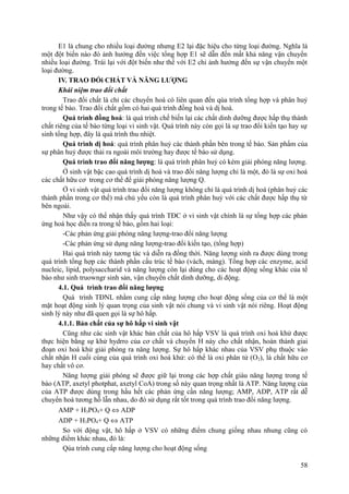 E1 là chung cho nhiều loại đường nhưng E2 lại đặc hiệu cho từng loại đường. Nghĩa là
một đột biến nào đó ảnh hưởng đến việc tổng hợp E1 sẽ dẫn đến mất khả năng vận chuyển
nhiều loại đường. Trái lại với đột biến như thế với E2 chỉ ảnh hưởng đến sự vận chuyển một
loại đường.
IV. TRAO ĐỔi CHẤT VÀ NĂNG LƯỢNG
Khái niệm trao đổi chất
Trao đổi chất là chỉ các chuyển hoá có liên quan đến qúa trình tổng hợp và phân huỷ
trong tế bào. Trao đổi chất gồm có hai quá trình đồng hoá và dị hoá.
Quá trình đồng hoá: là quá trình chế biến lại các chất dinh dưỡng được hấp thụ thành
chất riêng của tế bào từng loại vi sinh vật. Quá trình này còn gọi là sự trao đổi kiến tạo hay sự
sinh tổng hợp, đây là quá trình thu nhiệt.
Quá trình dị hoá: quá trình phân huỷ các thành phần bên trong tế bào. Sản phẩm của
sự phân huỷ được thải ra ngoài môi trường hay được tế bào sử dụng.
Quá trình trao đổi năng lượng: là quá trình phân huỷ có kèm giải phóng năng lượng.
Ở sinh vật bậc cao quá trình dị hoá và trao đổi năng lượng chỉ là một, đó là sự oxi hoá
các chất hữu cơ trong cơ thể để giải phóng năng lượng Q.
Ở vi sinh vật quá trình trao đổi năng lượng không chỉ là quá trình dị hoá (phân huỷ các
thành phần trong cơ thể) mà chủ yếu còn là quá trình phân huỷ với các chất được hấp thụ từ
bên ngoài.
Như vậy có thể nhận thấy quá trình TĐC ở vi sinh vật chính là sự tổng hợp các phản
ứng hoá học diễn ra trong tế bào, gồm hai loại:
-Các phản ứng giải phóng năng lượng-trao đổi năng lượng
-Các phản ứng sử dụng năng lượng-trao đổi kiến tạo, (tổng hợp)
Hai quá trình này tương tác và diễn ra đồng thời. Năng lượng sinh ra được dùng trong
quá trình tổng hợp các thành phần cấu trúc tế bào (vách, màng). Tổng hợp các enzyme, acid
nucleic, lipid, polysaccharid và năng lượng còn lại dùng cho các hoạt động sống khác của tế
bào như sinh truowngr sinh sản, vận chuyển chất dinh dưỡng, di động.
4.1. Quá trình trao đổi năng lượng
Quá trình TĐNL nhằm cung cấp năng lượng cho hoạt động sống của cơ thể là một
mặt hoạt động sinh lý quan trọng của sinh vật nói chung và vi sinh vật nói riêng. Hoạt động
sinh lý này như đã quen gọi là sự hô hấp.
4.1.1. Bản chất của sự hô hấp vi sinh vật
Cũng như các sinh vật khác bản chất của hô hấp VSV là quá trình oxi hoá khử được
thực hiện bằng sự khử hydrro của cơ chất và chuyển H này cho chất nhận, hoàn thành giai
đoạn oxi hoá khử giải phóng ra năng lượng. Sự hô hấp khác nhau của VSV phụ thuộc vào
chất nhận H cuối cùng của quá trình oxi hoá khử: có thể là oxi phân tử (O2), là chất hữu cơ
hay chất vô cơ.
Năng lượng giải phóng sẽ được giữ lại trong các hợp chất giàu năng lượng trong tế
bào (ATP, axetyl photphat, axetyl CoA) trong số này quan trọng nhất là ATP. Năng lượng của
của ATP được dùng trong hầu hết các phản ứng cần năng lượng; AMP, ADP, ATP rất dễ
chuyển hoá tương hỗ lẫn nhau, do đó sử dụng rất tốt trong quá trình trao đổi năng lượng.
AMP + H3PO4+ Q ⇔ ADP
ADP + H3PO4+ Q ⇔ ATP
So với động vật, hô hấp ở VSV có những điểm chung giống nhau nhung cũng có
những điểm khác nhau, đó là:
Qúa trình cung cấp năng lượng cho hoạt động sống
58
 