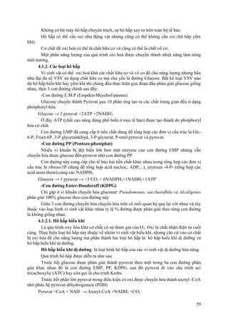 Không có bộ máy hô hấp chuyên trách, sự hô hấp xảy ra trên toàn bộ tế bào.
Hô hấp có thể cần oxi như động vật nhưng cũng có thể không cần oxi (hô hấp yếm
khí).
Cơ chất để oxi hoá có thể là chất hữu cơ và cũng có thể là chất vô cơ.
Một phần năng lượng của quá trình oxi hoá được chuyển thành nhiệt năng làm nóng
môi trường.
4.1.2. Các loại hô hấp
Vi sinh vật có thể oxi hoá khử các chất hữu cơ và vô cơ để cho năng lượng nhưng hầu
như đại đa số VSV sử dụng chất hữu cơ mà chủ yếu là đường Glucose. Bất kể loại VSV nào
dù hô hấp hiếu khí hay yếm khí thì chúng đều thực hiện giai đoạn đầu phân giải glucose giống
nhau, theo 3 con đường chính sau đây:
-Con đường E.M.P (Empden-Meyehof-pasnas)
Glucose chuyển thành Pyruvat qua 10 phản ứng tạo ra các chất trung gian đều ở dạng
photphoryl hóa:
Glucose → 2 pyruvat +2ATP +2NADH2
Ở đây ATP (chất cao năng dùng phổ biến ở mọi tế bào) được tạo thành do photphoryl
hóa cơ chất.
Con đường EMP đã cung cấp 6 tiền chất dùng để tổng hợp các đơn vị cấu trúc là Glc-
6-P, Fruct-6P, 3-P glyceraldehyd, 3-P-glyxerat, P-enol pyruvat và pyruvat.
-Con đường PP (Pentozo-phostphat)
Nhiều vi khuẩn bị đột biến lớn hơn một enzyme của con đường EMP nhưng vẫn
chuyển hóa được glucose đến pyruvat nhờ con đường PP.
Con đường này cung cấp cho tế bào hai tiền chất khác nhau trong tổng hợp các đơn vị
cấu trúc là ribozo-5P (dùng để tổng hợp acid nucleic, ADP,...), erytroza -4-P- (tổng hợp các
acid amin thơm) cùng các NADPH2
Glucoza → 1 pyruvat → +3 CO2 + 6NADPH2+1NADH2+1ATP
-Con đường Enter-Doudoroff (KDPG)
Chỉ gặp ở vi khuẩn chuyển hóa gluconat: Pseudomonas, saccharofhila và Alcaligenes
phân giải 100% glucose theo con đường này
Giữa 3 con đường chuyển hóa chuyển hóa trên có mối quan hệ qua lại với nhau và tùy
thuộc vào loại hình vi sinh vật khác nhau tỷ lệ % đường được phân giải theo từng con đường
là không giống nhau.
4.1.2.1. Hô hấp hiếu khí
Là qúa trình oxy hóa khử cơ chất có sự tham gia của O2. Oxi là chất nhận điện tử cuối
cùng. Thực hiện loại hô hấp này thuộc về nhóm vi sinh vật hiếu khí, nhưng căn cứ vào cơ chất
bị oxi hóa để cho năng lượng mà phân thành hai loại hô hấp là: hô hấp hiếu khí dị dưỡng và
hô hấp hiếu khí tự dưỡng.
Hô hấp hiếu khí dị dưỡng: là loại hình hô hấp của các vi sinh vật dị dưỡng hóa năng.
Quá trình hô hấp được diễn ra như sau
Trước hết glucose được phân giải thành pyruvat theo một trong ba con đường phân
giải khác nhau đó là con đường EMP, PP, KDPG, sau đó pyruvat đi vào chu trình ací
tricacboxylic (ATC) hay còn gọi là chu trình Krebs.
Trước hết phần lớn pyruvat trong điều kiện có oxi được chuyển hóa thành axetyl -CoA
nhờ phức hệ pyruvat-drhydrogenaza (PDH)
Pyruvat +CoA + NAD → Axetyl-CoA +NADH2 +CO2
59
 