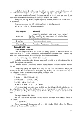Nhiều loại vi sinh vật có khả năng sản sinh ra men amylase ngoại bào làm phân giải
tinh bột thành các thành phần đơn giản hơn có thể phân biệt một số loại amylase sau:
α-amylase: tác động đồng thời lên nhiều dây nối, kể cả bên trong đại phân tử, sản
phẩm phân giải này ngoài mantose còn có oligmer chứa 3-4 gốc glucose.
β-amylase: men này chỉ tác động bên ngoài đại phân tử, phân cắt liên kết 1-6 ở các vị
trí phân nhánh.
Glucoamylase: phân giải tinh bột thành glucose và các oligosaccarit.
Một số loại vi sinh vật có hoạt tính amylase
Loại amylase Vi sinh vật
α-amylase
Aspegyllus candidus, Asp. niger, Asp. orysee.
Bacillus subtillis, B. maccarans, B. mesintericus,
Clostridium acetobutylicum,...
β-amylase Asp. awamori, Asp. oryse..
Glucoamylase Asp. niger, Asp. awamori, Asp. oryse..
Các quá trình lên men
+Quá trình lên men Etilic
Dưới tác dụng của một số loài vi sinh vật, đường glucosa có thể được chuyển hoá
thành rượu etylic và CO2 đồng thời làm sản sinh một số năng lượng xác định. Quá trình này
được gọi là quá trình lên men etilic hay còn gọi là quá trình lên men rượu.
Vi sinh vật tham gia vào quá trình lên men rượu:
Loài nấm men có khả năng lên men rượu mạnh mẽ nhất và có nhiều ý nghĩa kinh tế
nhất là Saccharomyces cerevisiae.
Loại nấm men này có khả năng lên men đường glucose, galactose, maltose, lactose,
tinh bột.
Trong công nghiệp bia, người ta sử dụng các loại Sac. carsbergensis. Rượu rum
thường lên men Schizosacchramyces, chúng phân biệt dễ dàng với Saccharomyces ở chỗ có
khả năng phân chia tế bào nhờ vách ngăn ngang (không nẩy chồi).
Tóm tắt quá trình:
C6 H12 O6 → CH3COCOOH + 4H
CH3COCOOH → CH3CHO +2CO2
CH3CHO + 4H → CH3CH2OH
C6H12O6 → CH3CH2OH + 2CO2 + 22Kcalo
Nếu cơ chất là các sản phẩm phức tạp khác như tinh bột, cellulo thì quá trình này sẽ
qua hai giai đoạn. Giai đoạn đầu các hợp chất hữu cơ phức tạp này bị các chất hữu cơ khác
phân giải thành các dung dịch đường, sau đó dưới tác dụng của nấm men mới biến thành
rượu.
Quá trình này được ứng dụng:
Sản xuất rượu bia, các loại nước giải khát, sử dụng nấm men làm nở bột mỳ, ủ thức ăn
cho gia súc.
+Lên men lactic
Đường glucose dưới tác dụng của một số vi sinh vật yếm khí đặc biệt sẽ cho chúng ta
acid lactic gọi là quá trình lên men lactic.
62
 