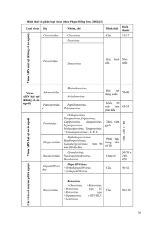 Hình thái và phân loại virus (theo Phạm Hồng Sơn. 2002)[3]
Lọai virus Họ Nhóm, chi Hình thái
Kích
thước
VirusADNmộtsợi(khôngcóáongoài)
Circoviridae Circovirus Cầu 15-17
Pavoviridae
Pavovirus
Densovirus
Hạt, hình
cầu
Nhỏ
nhất
Virus
ADN hai sợi
(không có áo
ngoài)
Adenoviridae
Mastadenovirus
Aviadenovirus
Hai sợi
dạng xoắn
70-90
Papovavirida
e
Papillomavirus,
Polyomavirus
Khối, 20
mặt tam
giác đều
45-55
VirusADNhaisợicóáongoài
Poxviridae
Orthopoxvirus,
Parapoxvirus,Avipoxvirus,
Capipoxvirus, Suispoxvirus,
Leporipoxvirus,
Moluscipoxvirus, Yatapoxvirus;
+Entomopoxvirinae: A, B, C,
Thoi, viên
gạch.
Herpesviridae
Alphaherpesvirinae,
Betaherpesvirinae,
Gamaherpesvirinae, hơn 90
loài đã biết đến
Phức tạp,
trung tâm
có lõi
220-450x140
Baculoviridae
Granulovirus,
Nucleopolyhedrovirus,
Baculovirus
Chưa rõ
50-70 x
240-
420
Cácviruscóenzymephiênngược.
HepaADNviri
dae
HepaADNvirus:
+OrthohepaADNvirus,
+AvihepaADNvirus
Cầu 40-42
Retroviridae
Retrovirus
+Oncovirus, +Retrovirus,
+Retrovirus type D,
+Retrovirus type
+Sspumavirus, +HTV/BLV,
+Lentivirus,
Cầu 80-130
76
 