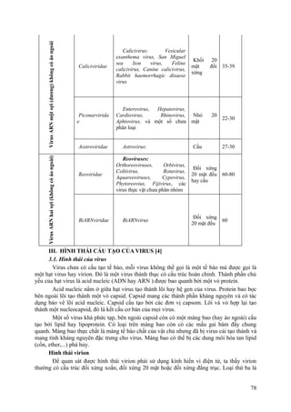 VirusARNmộtsợi(dương)khôngcóáongoài
Caliciviridae
Calicivirus: Vesicular
exanthema virus, San Miguel
sea lion virus, Feline
calicivirus, Canine calicivirus,
Rabbit haemorrhagic disaese
virus
Khối 20
mặt đối
xứng
35-39
Piconarvirida
e
Enterovirus, Hepatovirus,
Cardiovirus, Rhinovirus,
Aphtovirus, và một số chưa
phân loại
Nhỏ 20
mặt
22-30
Asstroviridae Astrovirus: Cầu 27-30
VirusARNhaisợi(khôngcóáongoài)
Reoviridae
Reoviruses:
Orthoreoviruses, Orbivirus,
Coltivirus, Rotavirus,
Aquareoviruses, Cypovirus,
Phytoreovius, Fijivirus, các
virus thực vật chưa phân nhóm
Đối xứng
20 mặt đều
hay cầu
60-80
BiARNviridae BiARNvirus
Đối xứng
20 mặt đều
60
III. HÌNH THÁI CẤU TẠO CỦA VIRUS [4]
3.1. Hình thái của virus
Virus chưa có cấu tạo tế bào, mỗi virus không thể gọi là một tế bào mà được gọi là
một hạt virus hay virion. Đó là một virus thành thục có cấu trúc hoàn chỉnh. Thành phần chủ
yếu của hạt virus là acid nucleic (ADN hay ARN ) được bao quanh bởi một vỏ protein.
Acid nucleic nằm ở giữa hạt virus tạo thành lõi hay hệ gen của virus. Protein bao bọc
bên ngoài lõi tạo thành một vỏ capsid. Capsid mang các thành phần kháng nguyên và có tác
dụng bảo vê lõi acid nucleic. Capsid cấu tạo bởi các đơn vị capsom. Lõi và vỏ hợp lại tạo
thành một nucleocapsid, đó là kết cấu cơ bản của mọi virus.
Một số virus khá phức tạp, bên ngoài capsid còn có một màng bao (hay áo ngoài) cấu
tạo bởi lipid hay lipoprotein. Có loại trên màng bao còn có các mấu gai bám đầy chung
quanh. Màng bao thực chất là màng tế bào chất của vật chủ nhưng đã bị virus cải tạo thành và
mang tính kháng nguyên đặc trưng cho virus. Màng bao có thể bị các dung môi hòa tan lipid
(cồn, ether,...) phá hủy.
Hình thái virion
Để quan sát được hình thái virion phải sử dụng kính hiển vi điện tử, ta thấy virion
thường có cấu trúc đối xứng xoắn, đối xứng 20 mặt hoặc đối xứng đẳng trục. Loại thứ ba là
78
 