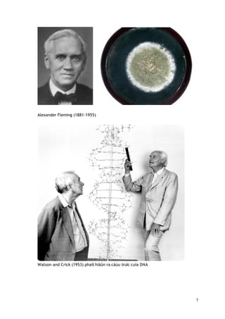 Alexander Fleming (1881-1955)
Watson and Crick (1953) phaït hiãûn ra cáúu truïc cuía DNA
7
 