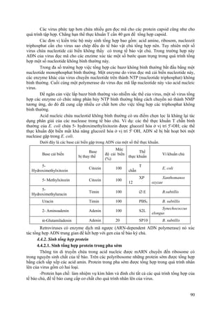 Các virus phức tạp hơn chứa nhiều gen đọc mã cho các protein capsid cũng như cho
quá trình tập hợp. Chẳng hạn thể thực khuẩn T cần 40 gen để tổng hợp capsid.
Các đơn vị kiến trúc bộ máy sinh tổng hợp bao gồm: acid amine, ribosom, nucleozit
triphosphat cần cho virus sao chép đều do tế bào vật chủ tổng hợp nên. Tuy nhiên một số
virus chứa nucleotide cải biến không thấy có trong tế bào vật chủ. Trong trường hợp này
ADN của virus đọc mã cho các enzime xúc tác một số bước quan trọng trong quá trình tổng
hợp một số nucleotide không bình thường này.
Trong đa số trường hợp việc tổng hợp các bazơ không bình thường bắt đầu bằng một
nucleotide monophosphat bình thường. Một enzyme do virus đọc mã cải biến nucleotide này,
các enzyme khác của virus chuyển nucleotide trên thành NTP (nucleotide triphosphat) không
bình thường. Cuối cùng một polymerase do virus đọc mã lắp nucleotide này vào acid nucleic
virus.
Để ngăn cản việc lắp bazơ bình thường vào nhiễm sắc thể của virus, một số virus tổng
hợp các enzyme có chức năng phân hủy NTP bình thường bằng cách chuyển nó thành NMP
tương ứng, do đó đã cung cấp nhiều cơ chất hơn cho việc tổng hợp các triphosphat không
bình thường.
Acid nucleic chứa nucleotid không bình thường có ưu điểm chọn lọc là kháng lại tác
dụng phân giải của các nuclease trong tế bào chủ. Ví dụ: các thể thực khuẩn T chẵn bình
thường của E. coli chứa 5- hydroximethylixitozin được glucozil hóa ở vị trí 5'-OH; các thể
thực khuẩn đột biến mất khả năng glucozil hóa ở vị trí 5' OH, ADN sẽ bị bất hoạt bởi một
nuclease gặp trong E. coli.
Dưới đây là các base cải biến gặp trong ADN của một số thể thực khuẩn.
Base cải biến
Base
bị thay thế
Mức
độ cải biến
(%)
Thể
thực khuẩn
Vi khuẩn chủ
5-
Hydroximethylxitozin
Citozin 100
T
chẵn
E. coli
5- Methylxitozin Citozin 100
XP
12
Xanthomanos
ozyzae
5-
Hydroximethyluracin
Timin 100 ∅ E B.subtillis
Uracin Timin 100 PBS2 B. subtillis
2- Aminoadenin Adenin 100 S2L
Synechococcus
elongus
α-Glutamiladenin Adenin 20 SP10 B. subtillis
Retroviruses có enzyme dịch mã ngược (ARN-dependent ADN polymerase) nó xúc
tác tổng hợp ADN trung gian để kết hợp với gen của tế bào ký chủ.
4.4.2. Sinh tổng hợp protein
4.4.2.1. Sinh tổng hợp protein trong pha sớm
Thông tin di truyền chứa trong acid nucleic được mARN chuyển đến ribosome có
trong nguyên sinh chất của tế bào. Trên các polyribosome những protein sớm được tổng hợp
bằng cách sắp xếp các acid amin. Protein trong pha sớm được tổng hợp trong quá trình nhân
lên của virus gồm có hai loại.
-Protein hạn chế: làm nhiệm vụ kìm hãm và đình chỉ tất cả các quá trình tổng hợp của
tế bào chủ, để tế bào cung cấp cơ chất cho quá trình nhân lên của virus.
90
 