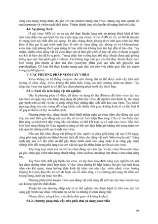 vùng của màng trong nhân, đã gắn với các protein màng của virus. Màng này bao quanh lõi
nucleoprotein và virion tách khỏi nhân. Virion thành thục sẽ chuyển tới mạng lưới nội chất.
4.6. Sự phóng thích
Ở các virus ARN có vỏ và các thể thực khuẩn dạng sợi, sự phóng thích khỏi tế bào
như một phần của quá trình lắp ráp cuối cùng của virion. Virus ADN có vỏ, có thể di chuyển
từ mạng lưới nội chất đến bào nang. Từ đây chúng được phóng thích nhờ quá trình đào thải
khỏi tế bào gọi là quá trình xuất bào. Ở một số virus động vật, không có vỏ (Adenovirus)
virus trực tiếp phóng thích qua màng tế bào chất mà không làm tổn hại đến tế bào chủ. Tuy
nhiên, nhiều virus động vật và virus thực vật sẽ làm giết chết tế bào vật chủ và thoát ra ngoài
sau khi tế bào chủ đã bị tự phân. Trong phần lớn trường hợp thể thực khuẩn được giải phóng
thông qua việc làm phân giải vi khuẩn. Có trường hợp một gen của thể thực khuẩn được biểu
hiện trong pha muộn sẽ đọc mã cho lysozyme phân giải các liên kết glycozit của
peptidoglican. Có loại thể thực khuẩn mang gen đọc mã cho việc phân giải liên kết peptit
trong peptidoglycan.
V. CÁC PHƯƠNG PHÁP NUÔI CẤY VIRUS
Virus không có hệ thống enzyme cho nên chúng chỉ có thể được nuôi cấy trên môi
trường tổ chức sống. Virus không thể phát triển trong các môi trường nhân tạo được. Tùy
từng loại virus mà người ta có thể lựa chọn phương pháp nuôi cấy thích hợp.
5.1.1. Nuôi cấy trên động vật thí nghiệm
Đây là phương pháp cổ điển, đã được sử dụng từ lâu (Pasteur đã tiêm virus dại vào
não thỏ) và ngày nay còn được ứng dụng để phân lập virus, để nghiên cứu bệnh lý, tác dụng
gây bệnh trên cơ thể và các tổ chức riêng biệt, những đặc tính sinh học của virus. Tuy nhiên
phương pháp này còn tương đối cồng kềnh, mất nhiều thời gian, không kinh tế và đặc biệt là
dễ gây ô nhiễm và lây lan mầm bệnh.
Phương pháp này, dùng huyễn dịch bệnh phẩm nghi có virus tiêm cho động vật cảm
thụ, sau một thời gian động vật cảm thụ sẽ có các biểu hiện lâm sàng. Căn cứ vào biểu hiện
lâm sàng và bệnh tích đặc trưng khi mổ khám, có thể kết luận sự có mặt của virus. Nếu biểu
hiện lâm sàng không lộ rõ ra, người ta cũng có thể xác định hiệu giá kháng thể trong máu con
vật, qua đó chứng minh sự có mặt của virus.
Nếu sau khi tiêm, động vật không bị ốm, người ta cũng giết động vật sau 5-10 ngày,
dùng phủ tạng nghiền nát thành huyễn dịch để tiêm cho động vật mới ''tiêm truyền mù''. Bằng
cách này sau 2-3 lần tiêm có thể gây được bệnh cảnh lâm sàng hoặc ít ra cũng gây được
những biến đổi trong phủ tạng của con vật mà qua đó phán đoán sự tồn tại của virus.
Tùy từng loại virus mà có thể lựa chọn động vật cảm thụ. Ví dụ: virus Neucastle chọn
gà giò, virus gây viêm não dùng chuột trắng, virus dịch tả lợn dùng lợn choai, virus cúm dùng
sóc.
Tùy theo tính chất gây bệnh của virus, và tùy theo mục đích công việc nghiên cứu mà
lựa chọn đường tiêm thích hợp nhất. Ví dụ: virus đường hô hấp (cúm), thì giỏ vào mũi hoặc
tiêm vào khí quản; virus hướng thần kinh thì tiêm vào não (dại, viêm não); virus hướng
thượng bì (virus đậu) thì xát lên da hoặc các lỗ chân lông, virus hướng phủ tạng thì tiêm vào
xoang bụng, dưới da hoặc bắp thịt.
Phương pháp tiêm truyền virus qua động vật còn dùng để chế tạo các loại vaccin hay
các kháng nguyên chẩn đoán.
Thuận lợi của phương pháp này là có thể nghiên cứu được bệnh lý trên con vật, tác
dụng gây bệnh của virus trên toàn bộ cơ thể và những tổ chức riêng biệt.
Nhược điểm: cồng kềnh, mất nhiều thời gian và không kinh tế.
5.1.2. Phương pháp nuôi cấy trên phôi thai gà đang phát triển
92
 