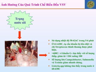 Ảnh Hưởng Của Quá Trình Chế Biến Đến VSV Sử dụng nhiệt độ 58-62oC trong 5-6 phút Ở 61-620C, tụ cầu khuẩn bị tiêu diệt và chỉ Streptoccus thỉnh thoảng được phát hiện. >600C: vi khuẩn G- tìm thấy với số lượng thấp, giảm từ >104 xuống 100 Số lượng lớn Campylobacter, Salmonella và Yesinia giảm nhanh chóng. Listeria.spp không tìm thấy trong nước ở 60-630C Trụng  nước sôi 