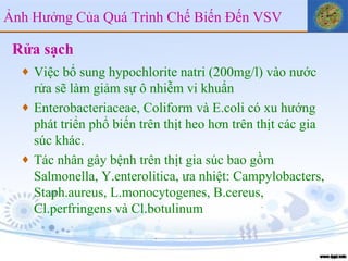 Rửa sạch Việc bổ sung hypochlorite natri (200mg/l) vào nước rửa sẽ làm giảm sự ô nhiễm vi khuẩn Enterobacteriaceae, Coliform và E.coli có xu hướng phát triển phổ biến trên thịt heo hơn trên thịt các gia súc khác. Tác nhân gây bệnh trên thịt gia súc bao gồm Salmonella, Y.enterolitica, ưa nhiệt: Campylobacters, Staph.aureus, L.monocytogenes, B.cereus, Cl.perfringens và Cl.botulinum Ảnh Hưởng Của Quá Trình Chế Biến Đến VSV 