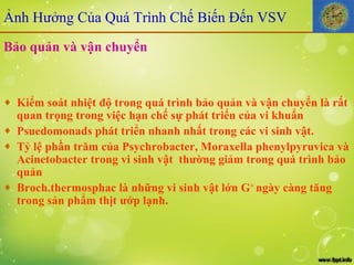 Bảo quản và vận chuyển Kiểm soát nhiệt độ trong quá trình bảo quản và vận chuyển là rất quan trọng trong việc hạn chế sự phát triển của vi khuẩn Psuedomonads phát triển nhanh nhất trong các vi sinh vật. Tỷ lệ phần trăm của Psychrobacter, Moraxella phenylpyruvica và Acinetobacter trong vi sinh vật  thường giảm trong quá trình bảo quản Broch.thermosphac là những vi sinh vật lớn G +  ngày càng tăng trong sản phẩm thịt ướp lạnh. Ảnh Hưởng Của Quá Trình Chế Biến Đến VSV 