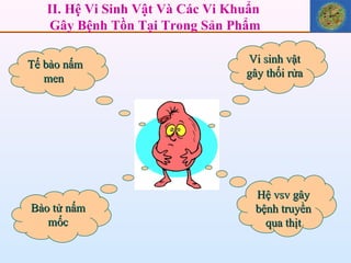 II. Hệ Vi Sinh Vật Và Các Vi Khuẩn  Gây Bệnh Tồn Tại Trong Sản Phẩm Vi sinh vật gây thối rửa Tế bào nấm men  Hệ vsv gây bệnh truyền qua thịt Bào tử nấm mốc 
