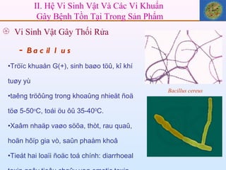 II. Hệ Vi Sinh Vật Và Các Vi Khuẩn  Gây Bệnh Tồn Tại Trong Sản Phẩm Vi Sinh Vật Gây Thối Rửa -  Bacillus Tröïc khuaån G(+), sinh baøo töû, kî khí tuøy yù taêng tröôûng trong khoaûng nhieät ñoä töø 5-50 o C, toái öu ôû 35-40 0 C.  Xaâm nhaäp vaøo söõa, thòt, rau quaû, hoãn hôïp gia vò, saûn phaåm khoâ  Tieát hai loaïi ñoäc toá chính: diarrhoeal toxin gaây tieâu chaûy vaø emetic toxin gaây noân möûa.  Bacillus cereus 