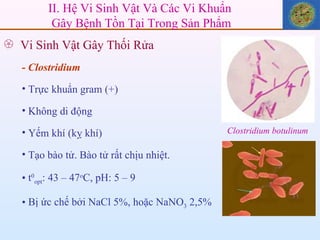 II. Hệ Vi Sinh Vật Và Các Vi Khuẩn  Gây Bệnh Tồn Tại Trong Sản Phẩm Vi Sinh Vật Gây Thối Rửa -  Clostridium Trực khuẩn gram (+) Không di động Yếm khí (kỵ khí) Tạo bào tử. Bào tử rất chịu nhiệt. t 0 opt : 43 – 47 o C, pH: 5 – 9  Bị ức chế bởi NaCl 5%, hoặc NaNO 3  2,5% Clostridium botulinum 