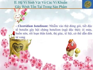 -  Clostridium botulinum :  Nhiễm vào thịt đóng gói,   tiết độc tố botulin gây hội chứng botulism (ngộ độc thịt): ói mửa, buồn nôn, rối loạn thần kinh, thị giác, tê liệt, có thể dẫn đến tử vong   II. Hệ Vi Sinh Vật Và Các Vi Khuẩn  Gây Bệnh Tồn Tại Trong Sản Phẩm 