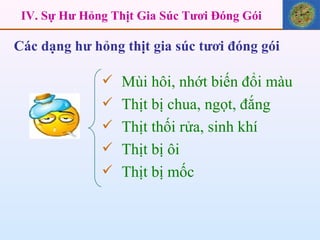 IV. Sự Hư Hỏng Thịt Gia Súc Tươi Đóng Gói Mùi hôi, nhớt biến đổi màu Thịt bị chua, ngọt, đắng  Thịt thối rửa, sinh khí  Thịt bị ôi Thịt bị mốc Các dạng hư hỏng thịt gia súc tươi đóng gói  