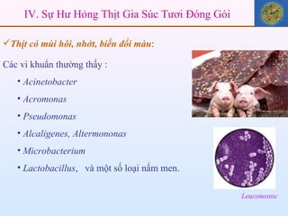 Thịt có mùi hôi, nhớt, biến đổi màu :  Các vi khuẩn thường thấy :  Acinetobacter Acromonas Pseudomonas Alcaligenes, Altermononas Microbacterium Lactobacillus ,  và một số loại nấm men. Leuconostoc IV. Sự Hư Hỏng Thịt Gia Súc Tươi Đóng Gói 