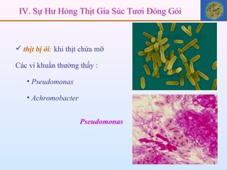 thịt bị ôi :  khi thịt chứa mỡ Các vi khuẩn thường thấy :  Pseudomonas Achromobacter Pseudomonas IV. Sự Hư Hỏng Thịt Gia Súc Tươi Đóng Gói 