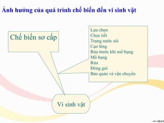 Ảnh hưởng của quá trình chế biến đến vi sinh vật Vi sinh vật Chế biến sơ cấp Lựa chọn Chọc tiết Trụng nước sôi Cạo lông Rửa trước khi mổ bụng Mổ bụng Rửa Đóng gói Bảo quản và vận chuyển 