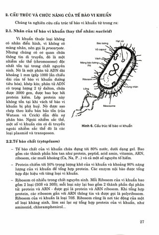 Vi sinh vat y hoc | PDF