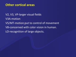 Other cortical areas V2, V3, VP-larger visual fields V3A-motion V5/MT-motion;put to control of movement V8-concerned with color vision in human. LO-recognition of large objects. 