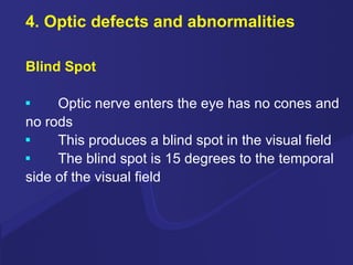 4. Optic defects and abnormalities Blind Spot Optic nerve enters the eye has no cones and no rods This produces a blind spot in the visual field The blind spot is 15 degrees to the temporal side of the visual field 
