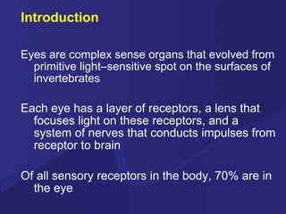 Introduction Eyes are complex sense organs that evolved from primitive light–sensitive spot on the surfaces of invertebrates Each eye has a layer of receptors, a lens that focuses light on these receptors, and a system of nerves that conducts impulses from receptor to brain Of all sensory receptors in the body, 70% are in the eye 