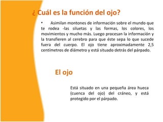 ¿ Cuál es la función del ojo?
  •     Asimilan montones de información sobre el mundo que
  te rodea -las siluetas y las formas, los colores, los
  movimientos y mucho más. Luego procesan la información y
  la transfieren al cerebro para que éste sepa lo que sucede
  fuera del cuerpo. El ojo tiene aproximadamente 2,5
  centímetros de diámetro y está situado detrás del párpado.




         El ojo
                 Está situado en una pequeña área hueca
                 (cuenca del ojo) del cráneo, y está
                 protegido por el párpado.
 