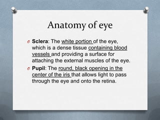 Anatomy of eye
O Sclera: The white portion of the eye,
  which is a dense tissue containing blood
  vessels and providing a surface for
  attaching the external muscles of the eye.
O Pupil: The round, black opening in the
  center of the iris that allows light to pass
  through the eye and onto the retina.
 