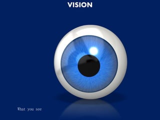 VISION
What you see
 