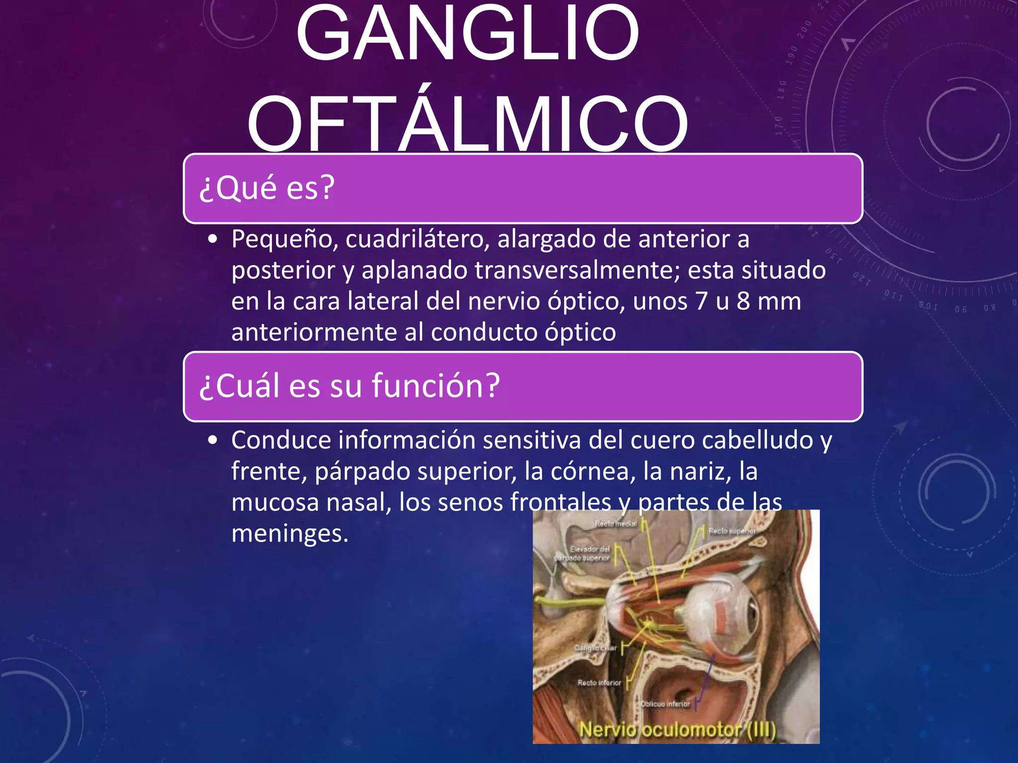 GANGLIO
OFTÁLMICO
¿Qué es?
• Pequeño, cuadrilátero, alargado de anterior a
posterior y aplanado transversalmente; esta situado
en la cara lateral del nervio óptico, unos 7 u 8 mm
anteriormente al conducto óptico

¿Cuál es su función?
• Conduce información sensitiva del cuero cabelludo y
frente, párpado superior, la córnea, la nariz, la
mucosa nasal, los senos frontales y partes de las
meninges.

 