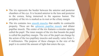  The iris represents the border between the anterior and posterior
chambers of the eye. It is located anterior to the lens and posterior
to the cornea, being immersed in the aqueous humor. The
periphery of the iris is marked as its root or the ciliary margin
 The iris contains two smooth muscles that enable its contractile
property. These are the sphincter pupillae muscle and dilator
pupillae muscle. The center of the iris features a circular opening
called the pupil. The inner margin of the iris that bounds the pupil
is called the pupillary margin. The size of the pupil can change by
the action of the two pupillary muscles and usually varies from 1-
8 millimeters. The purpose of these changes in the size of the
pupil is to control the amount of light that enters the eye.
 